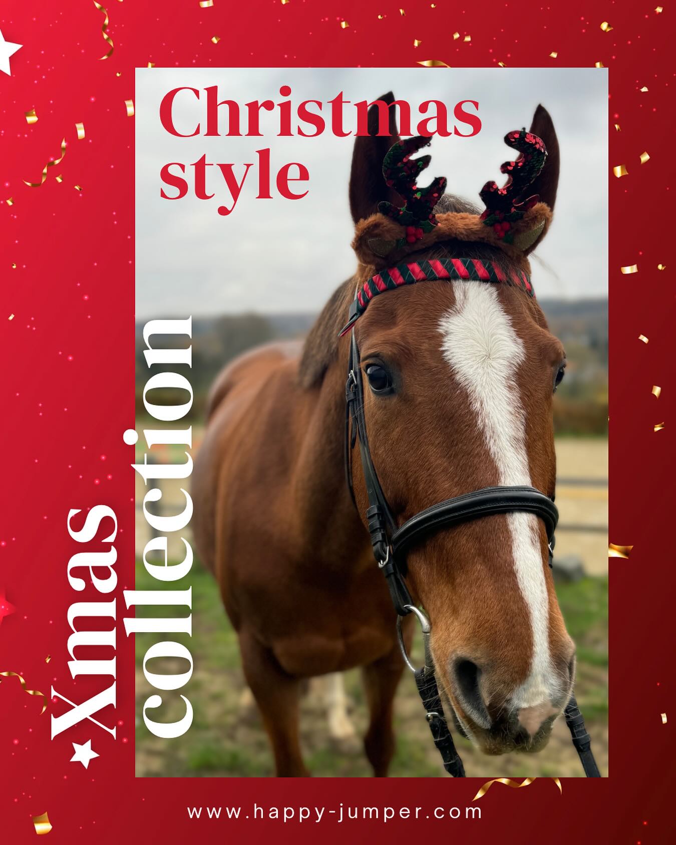 🎄Es wird weihnachtlich🎄
Ihr Lieben,
heute in 6 Wochen sitzen wir schon wieder alle unter dem Weihnachtsbaum! 🎄 🎁
Wir sind schon wieder fleißig an euren Bestellungen dran und unsere „Xmas Kollektion“ ist bereits online.
Wenn ihr noch auf der Suche nach einem Outfit für euch oder eure Vierbeiner seid oder ein schönes Geschenk braucht dann schaut gerne mal rein 😉
➡️ www.happy-jumper.com
Bitte beachtet, bei uns ist alles HANDMADE und die Post benötigt ebenfalls ein paar Tage zu euch 🥰
#christmas #xmas #favoritetimeoftheyear #christmasoutift #christmasiscoming #horsestyle #gift #outfit #halsband #stirnriemen