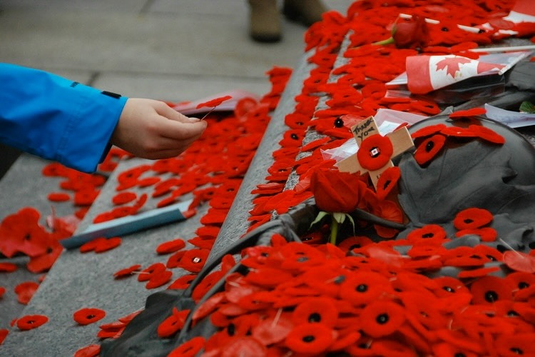 This Remembrance Day, we remember the courage and sacrifice of those who fought for our freedom. #LestWeForget