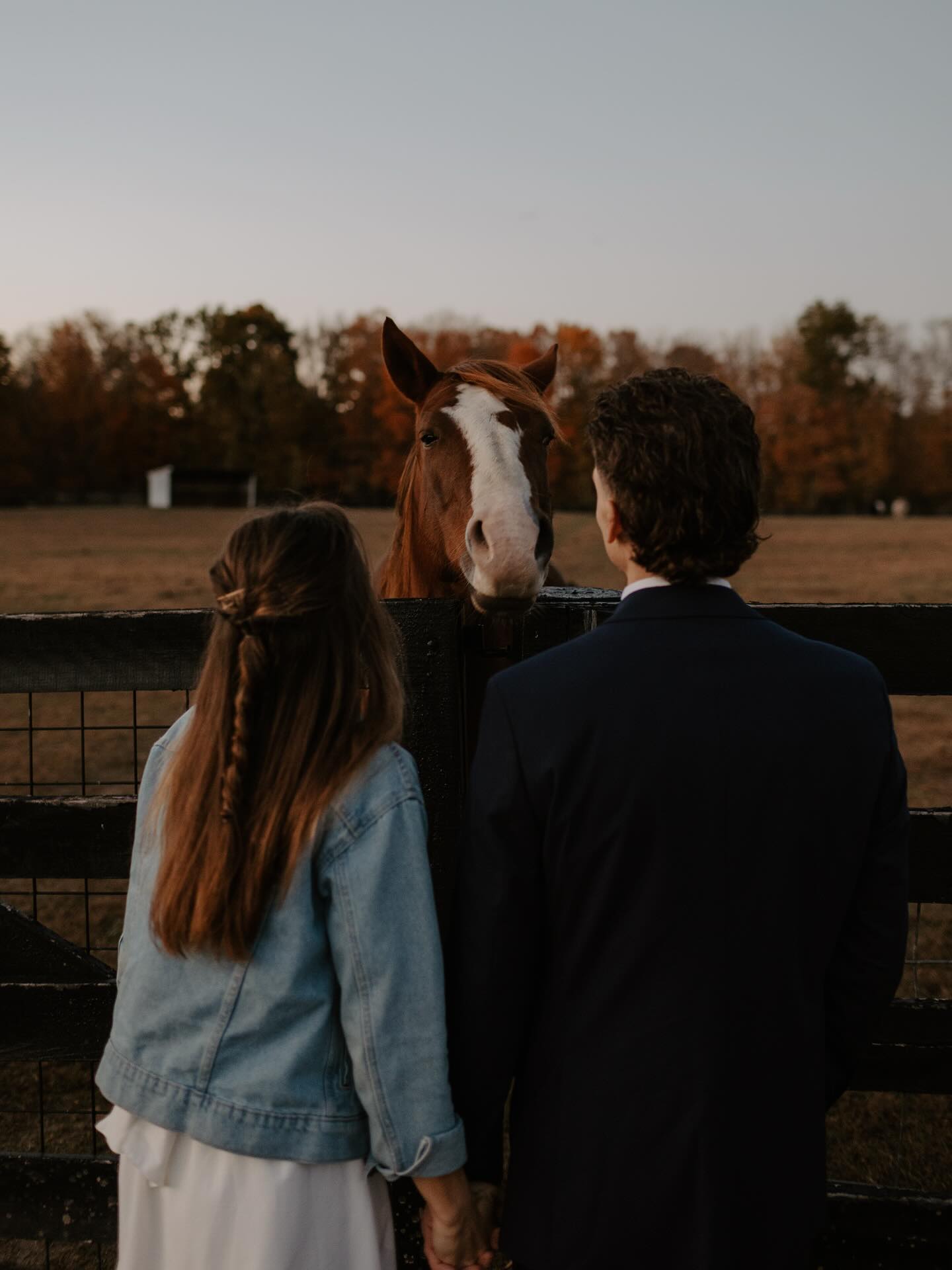 ✨GIVEAWAY✨
In honor of hitting 1,000 followers, I’d love to celebrate and say thank you by giving away a fun lil session to one of you!
I am giving away one 30 minute mini session! Can be used for engagement, couples, family, newborn, kids, you name it! Must be used sometime in 2026. Photoshoot must take place within the indianapolis area.
To enter:
- Make sure you are following me
- Like this post
- Share to your story (send me a screenshot of your story if your account is private)
- Tag some friends (tag as many as you’d like in separate comments for more chances to win)
Giveaway ends Nov 15 and winner will be announced that evening!