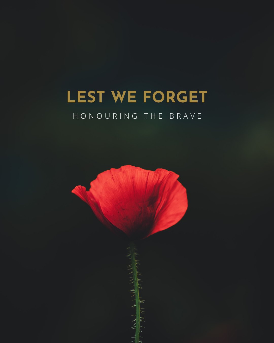 Remembrance Day ♥️
Honouring those who served, past and present. Thank you for your courage, sacrifice, and dedication.