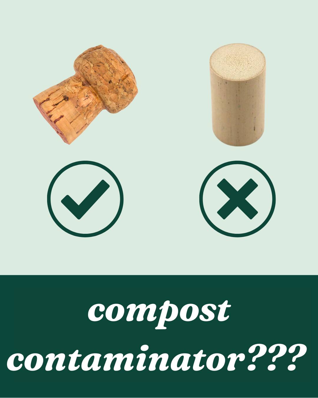 Want to enjoy your wine and compost at the same time? You can! 🍷
Natural corks come from tree bark and are 100% compostable. They feel rough, grainy, and may crumble slightly when bent. Synthetic corks, on the other hand, are not compostable and feel smooth, rubbery, and uniform in color. Before composting, remove any foil or plastic wrapping, then toss your real cork right into the compost bin!