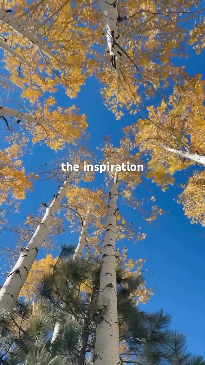 the inspiration + the art
#natureart #bodyart #bodypaint