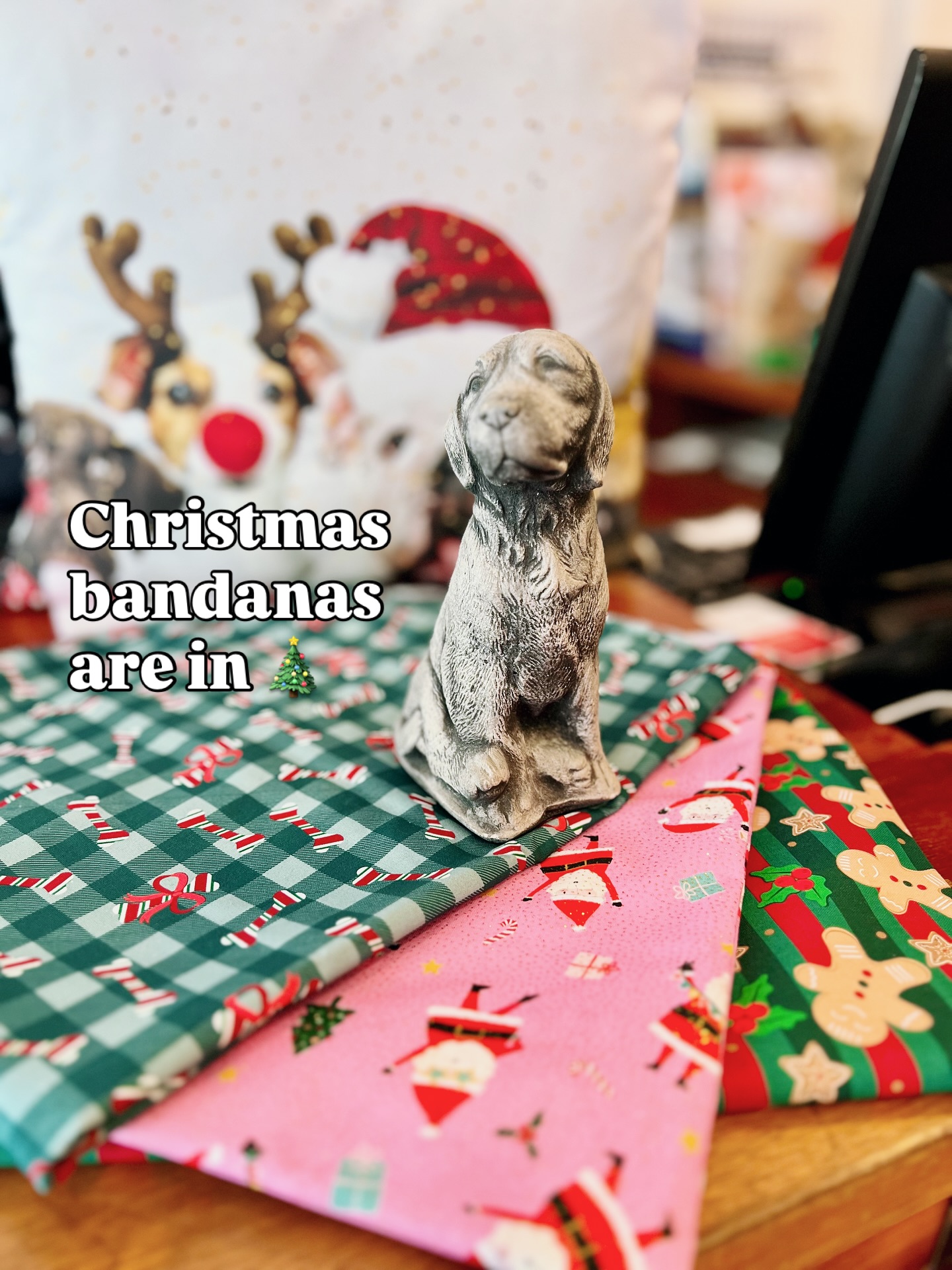 🔔 🔔 𝑪𝒉𝒓𝒊𝒔𝒕𝒎𝒂𝒔 𝒃𝒂𝒏𝒅𝒂𝒏𝒂𝒔 𝒂𝒓𝒆 𝒊𝒏! 🔔 🔔
All Suds & Scissors customers will be going home with a complimentary Christmas bandana* for the season.
Happy HOWLidays! 🎄
*𝘣𝘢𝘯𝘥𝘢𝘯𝘢 𝘥𝘦𝘴𝘪𝘨𝘯 𝘨𝘪𝘷𝘦𝘯 𝘪𝘴 𝘳𝘢𝘯𝘥𝘰𝘮 𝘢𝘯𝘥 𝘮𝘢𝘺 𝘣𝘦 𝘥𝘪𝘧𝘧𝘦𝘳𝘦𝘯𝘵 𝘧𝘳𝘰𝘮 𝘱𝘩𝘰𝘵𝘰
✨WhatsApp us at 6468 1904 for an appointment✨
📍Suds & Scissors Pet Parlour: 7 Jalan Bingka, Bukit Timah, Singapore 588902