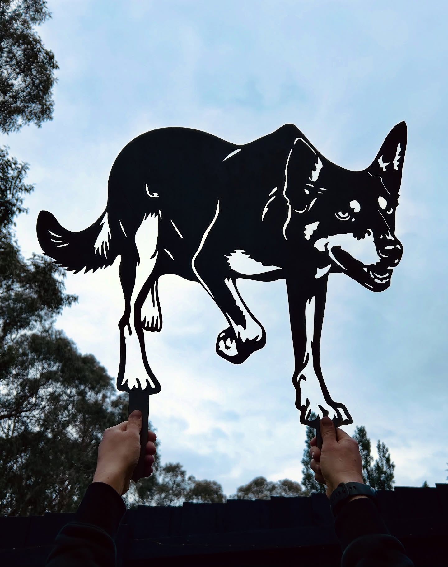 Fun Fact 👇🏼
Did you know a Kelpie can learn over 100 words… and still ignore EVERY SINGLE ONE that comes out of your mouth!! 🤣
Good thing they’re ridiculously handsome (not that we’re a biased Kelpie household or anything 😉).
If you - or let’s be real, Santa - need a gift for a fellow “totally unbiased” Kelpie lover, we’ve got you covered.
#miacooperandco #metalgardenart #metalwallart #australiankelpie #kelpie #petportrait #custommade #ChristmasGift #petmemorial #dogmemorial #kelpielover #dogsofmelbourneaustralia #dogsofinsta #dogsofyarravalley #australia