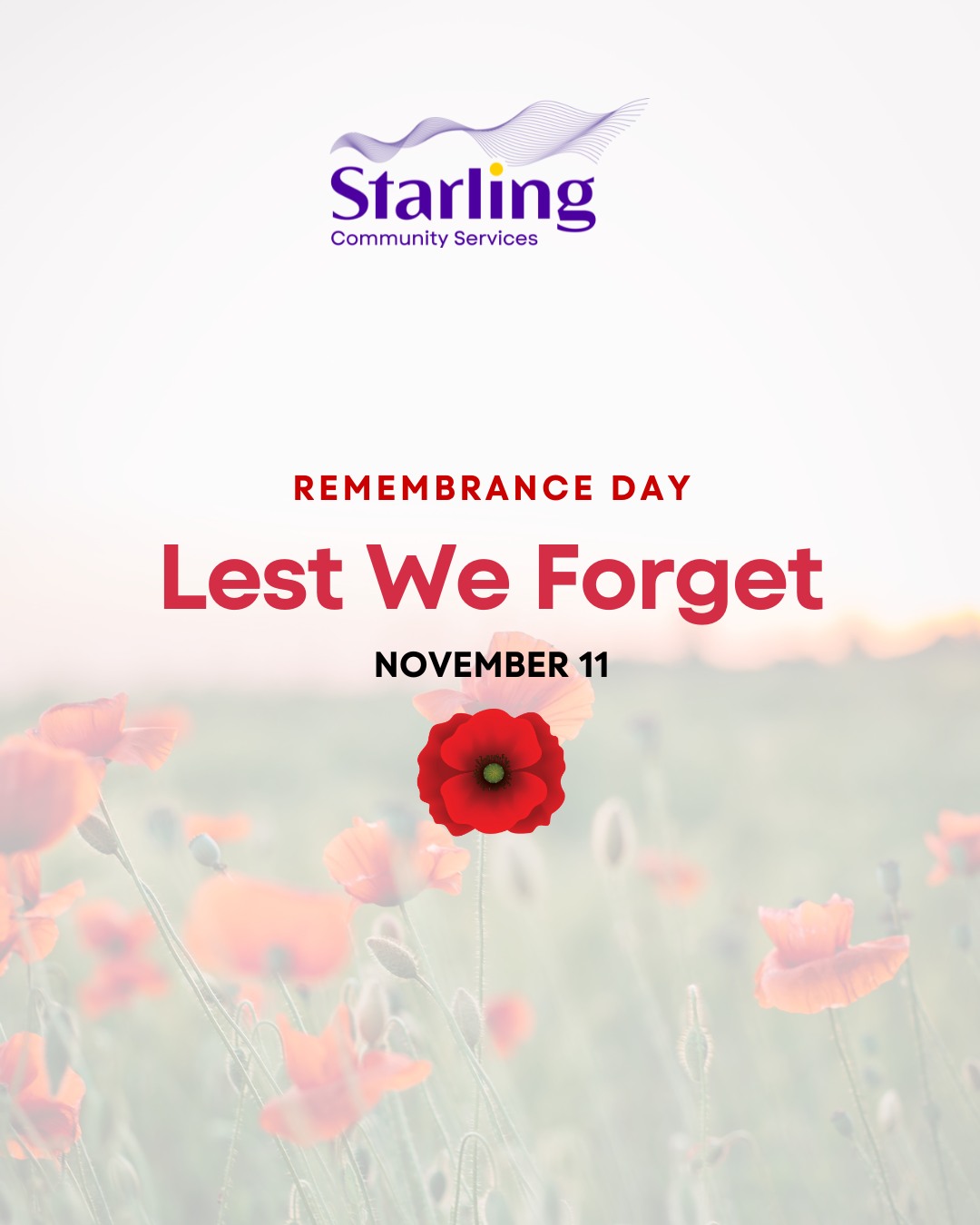 Today, we remember and honour the brave individuals of all backgrounds who fought for our freedom. Their contributions should never be forgotten.
Lest We Forget 🌹
#remembranceday #lestweforget