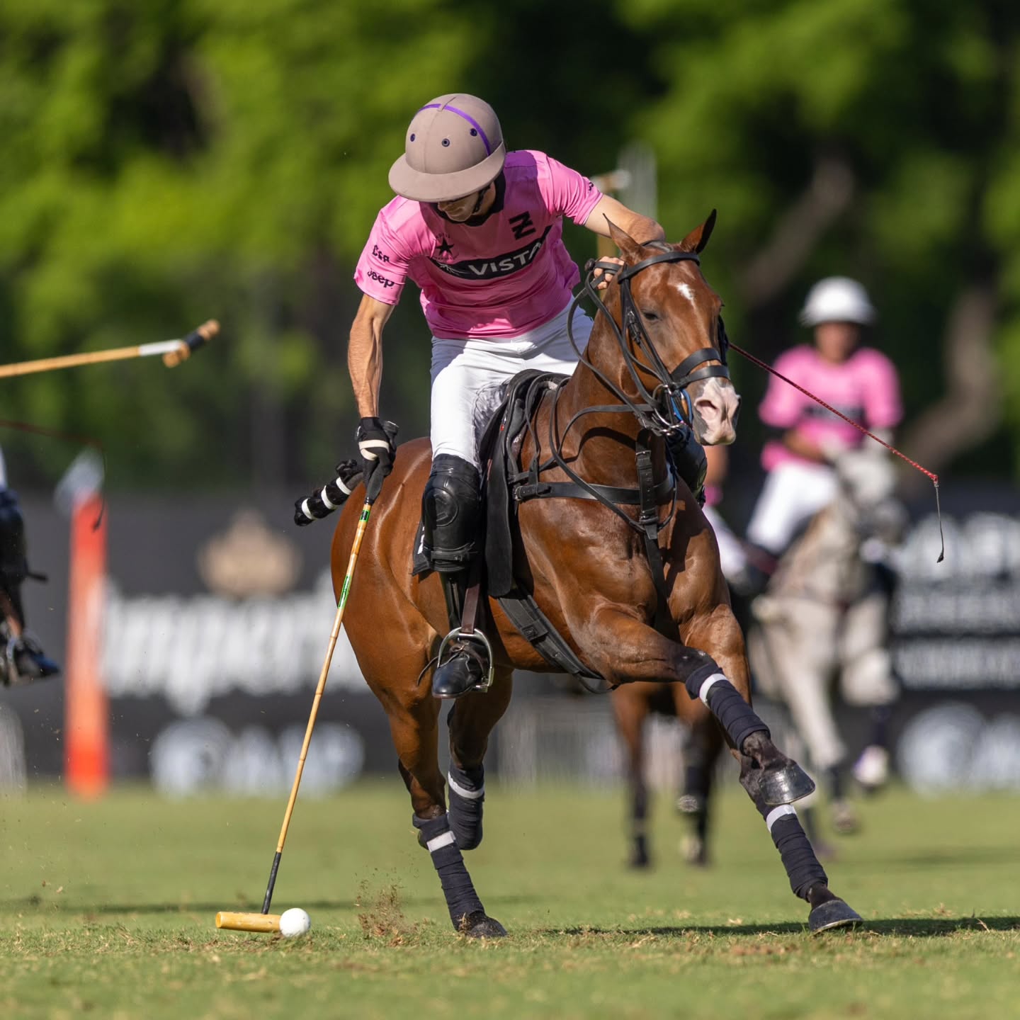 Ellerstina Indios Chapaleufú Vista logró su segundo triunfo en el torneo luego de superar por 21 a 10 a La Hache Cría & Polo.
De esta manera quedo como líder del grupo B.
#siemprepolo
#somospolo
#veniaverpolo
#vivielpolo
#sentielpolo
#revistapololive
#triplecorona2025
📸 @paddyramirezph