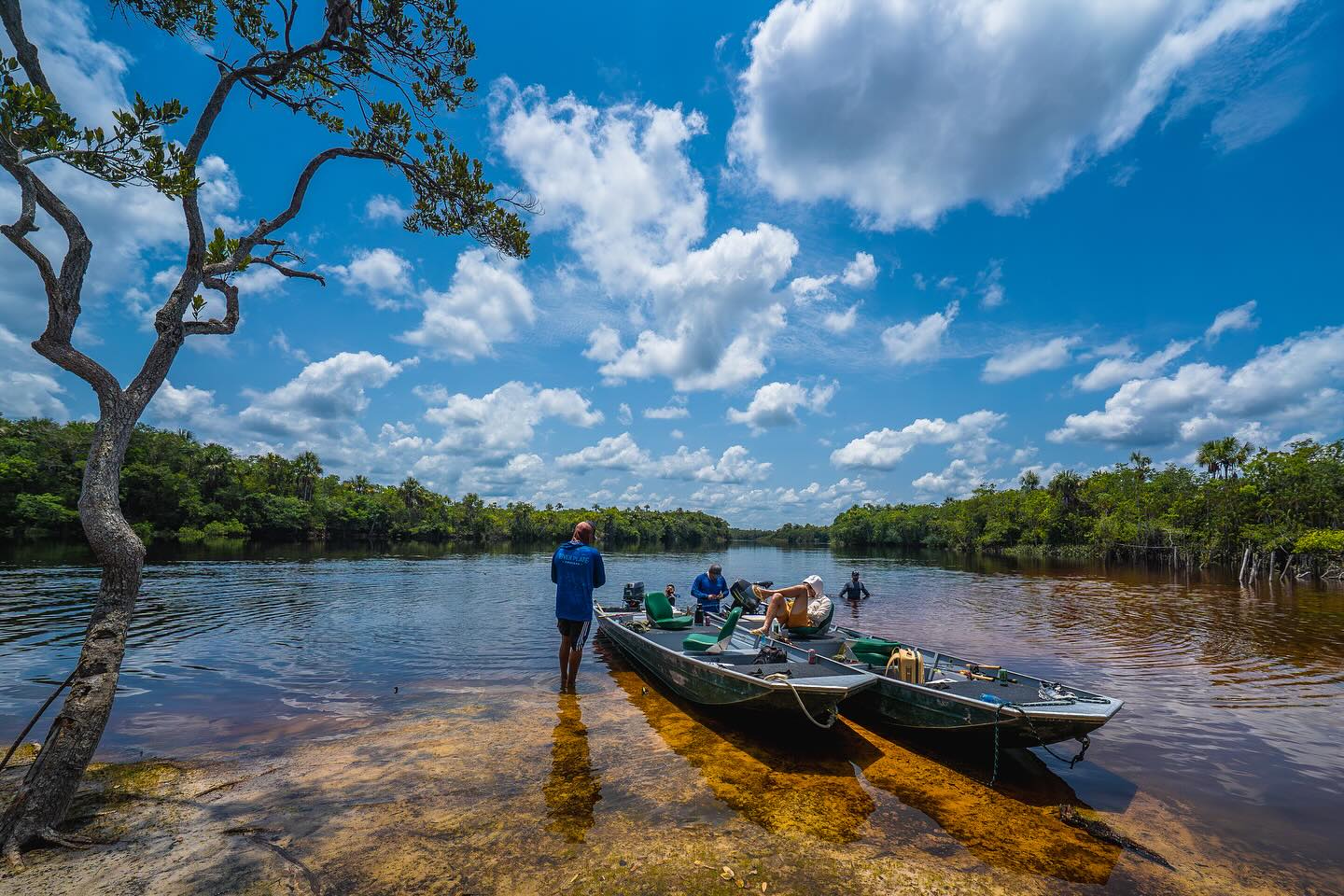 Paz amazônica.
@riverplateanglers @itaicyamazonia
📍Alto Uneiuxi / SIRN