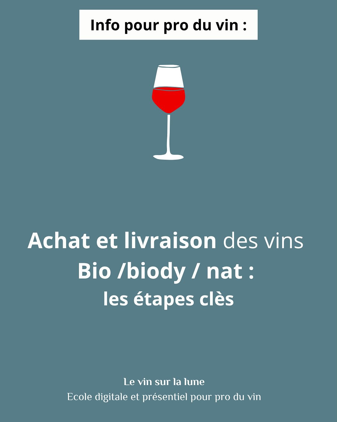 Info pour pro du vin 🍷 #caviste #restaurant #formation #entrepreneur