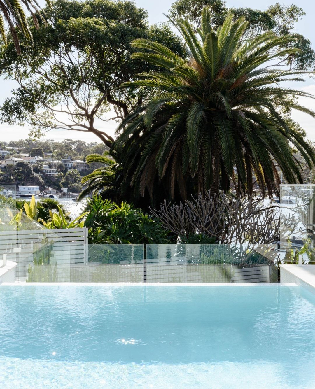 Stunning pool and stunning views at Dolans Bay.
==========
🌿 Corey Fox Landscaping - multi award winning landscape design and construction based in southern Sydney.
💦 Pinnacle Pools - Residential pool building based in the Sutherland Shire.
🥇Awarded SPASA Australia's Concrete Pool Builder of the Year, 2024.