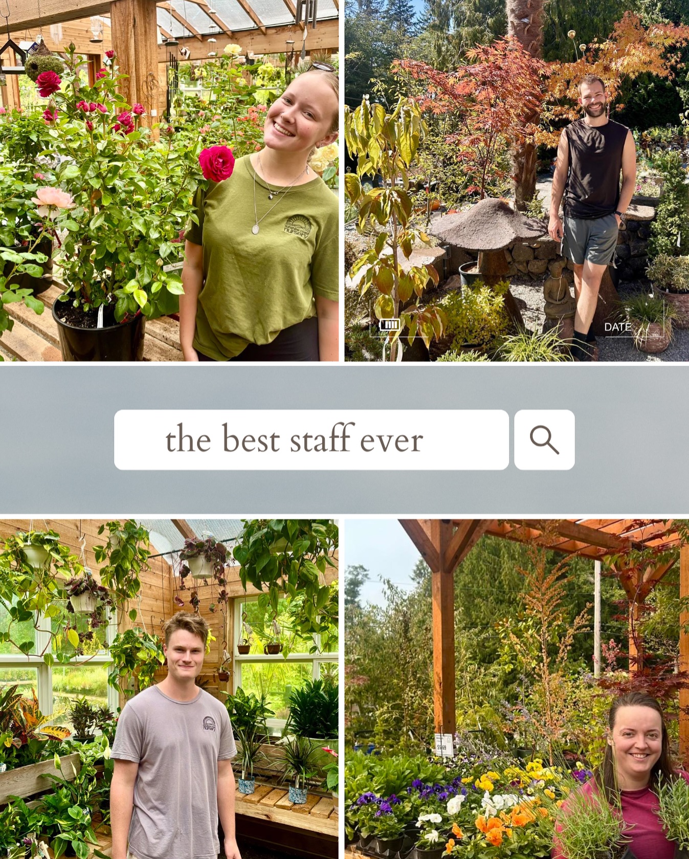 And just like that, another season blooms and fades.
Huge thanks to Savannah, Heather, Jamie, Carel, Alan, and Carrie — the dream team who kept the plants watered, the customers smiling, and somehow managed to stay cheerful through rain, heat, and the occasional rogue peacock.
We’re officially closing for the season today, but the laughter (and dirt under our nails) will carry us through winter.
To everyone who stopped by, shared stories, or left a little happier than when you came, thank you. You’re why this place feels like more than a nursery.
See you in the spring. 🌸
#SunshineCoastNursery #BestStaffEver #EndOfSeason #ThankYou #GardenCentreLife #ShopLocalBC