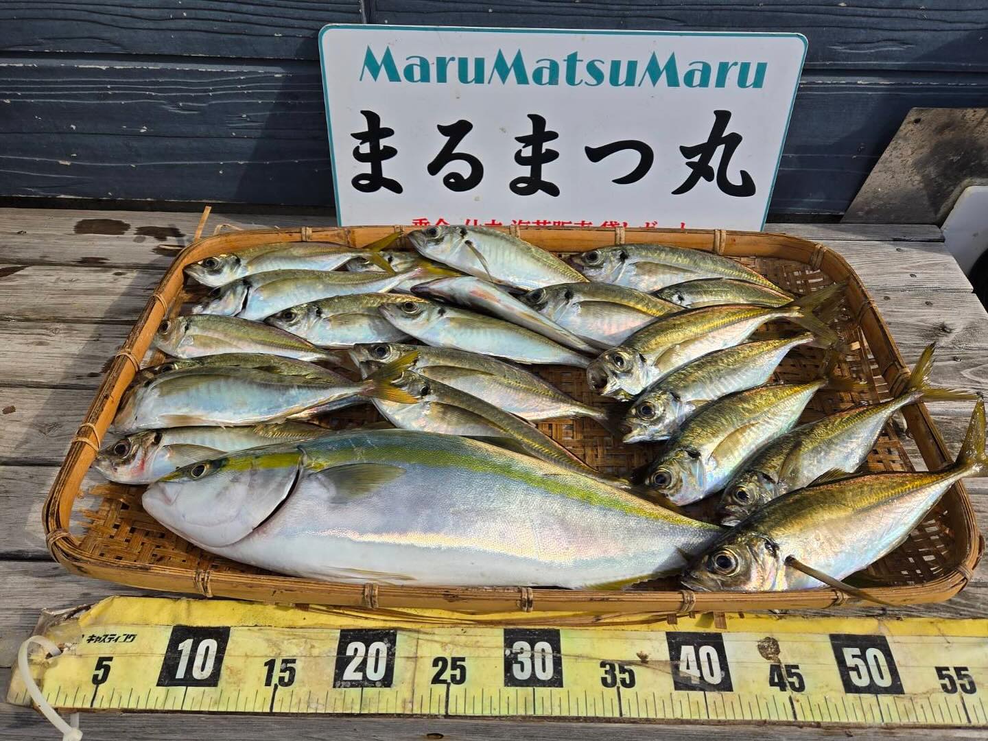 11/10 ボート釣果
渋い方もおられましたがこちらはアジ、イナワラとお土産十分、お見事です!