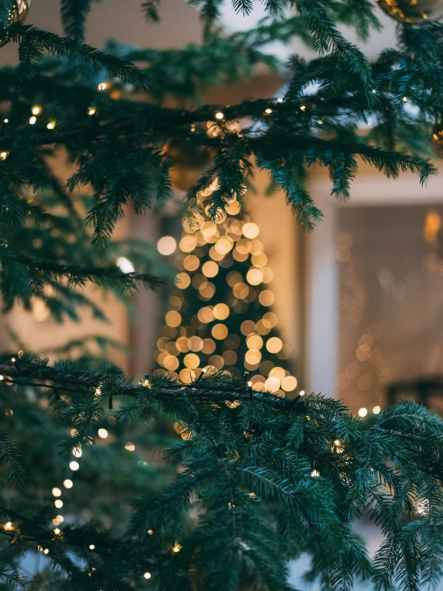 ✨ Christmas is coming, which means it’s time for your annual reminder about festive allowances!
If you’ve got a limited company, here’s what you need to know…
🎁 Trivial benefits - think small gifts under £50 per head (including VAT, and can’t be cash!) like chocolates, wine, or vouchers.
🥂 Staff entertaining - yes, your Christmas party counts! You can spend up to £150 per person per year on staff events.
🚫 Client entertaining - nope, unfortunately HMRC doesn’t do ‘business generosity’, even at Christmas 🥺 but you can gift branded goodies with your logo (that counts as advertising 👏).
So go ahead, treat your team (and yourself, if you’re on payroll 😉), just keep it within the rules! 🙌
#christmas #freelance #freelancer #womeninbusiness #businessowner