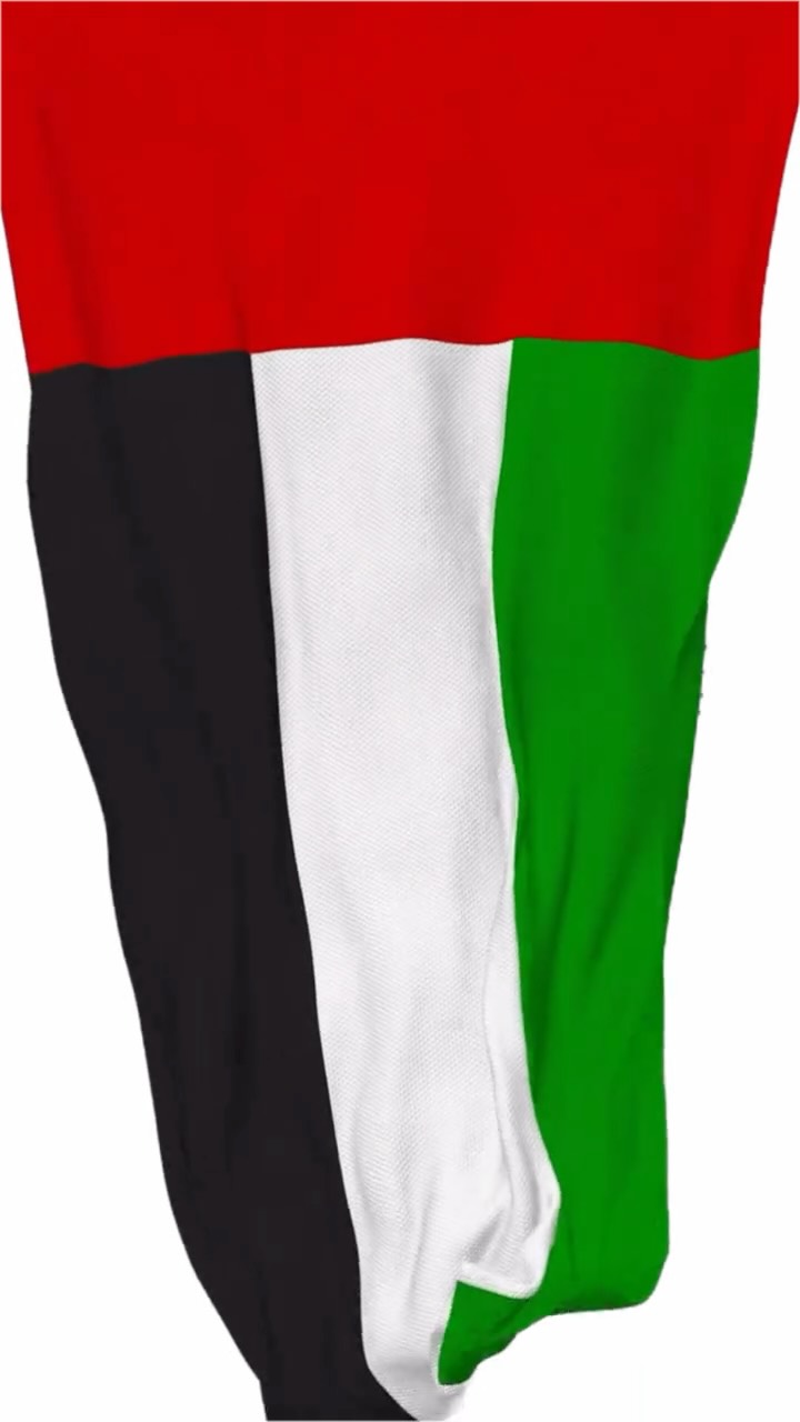 Honoring the symbol of unity, pride, and progress. Happy UAE Flag Day from all of us at Prep Up! 🇦🇪✨
#UAEFlagDay #FlagDay #ProudlyUAE #SpiritOfTheUnion #UAEPride #MyUAE #PrepUp #TogetherWeRise #UAE #UnityInDiversity #FlagOfPride #InspiringGenerations
