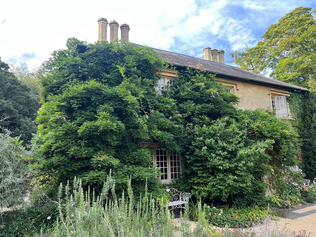 Hard reduction of a mature Wisteria that had completely taken over — growing through the windows and even finding its way into the attic! 🌸✂️
We carried out a careful reduction to bring it back under control while keeping its natural beauty and structure.
The Holly tree on site also got a full reduction and reshape to improve balance, light, and overall appearance.
All waste was chipped on-site, and the entire area was left clean and tidy — just how we like it! ✅
👉 Check out the before and afters to see the transformation!
#TreeWork #WisteriaReduction #HollyTree #TreeCare #ProfessionalArborist #GardenTransformation #TreeSurgeon #Arboriculture #Horticulture #GreenSpaces #BeforeAndAfter #TidyFinish #GardenMaintenance #TreePruning #NatureCare #OutdoorSpaces
