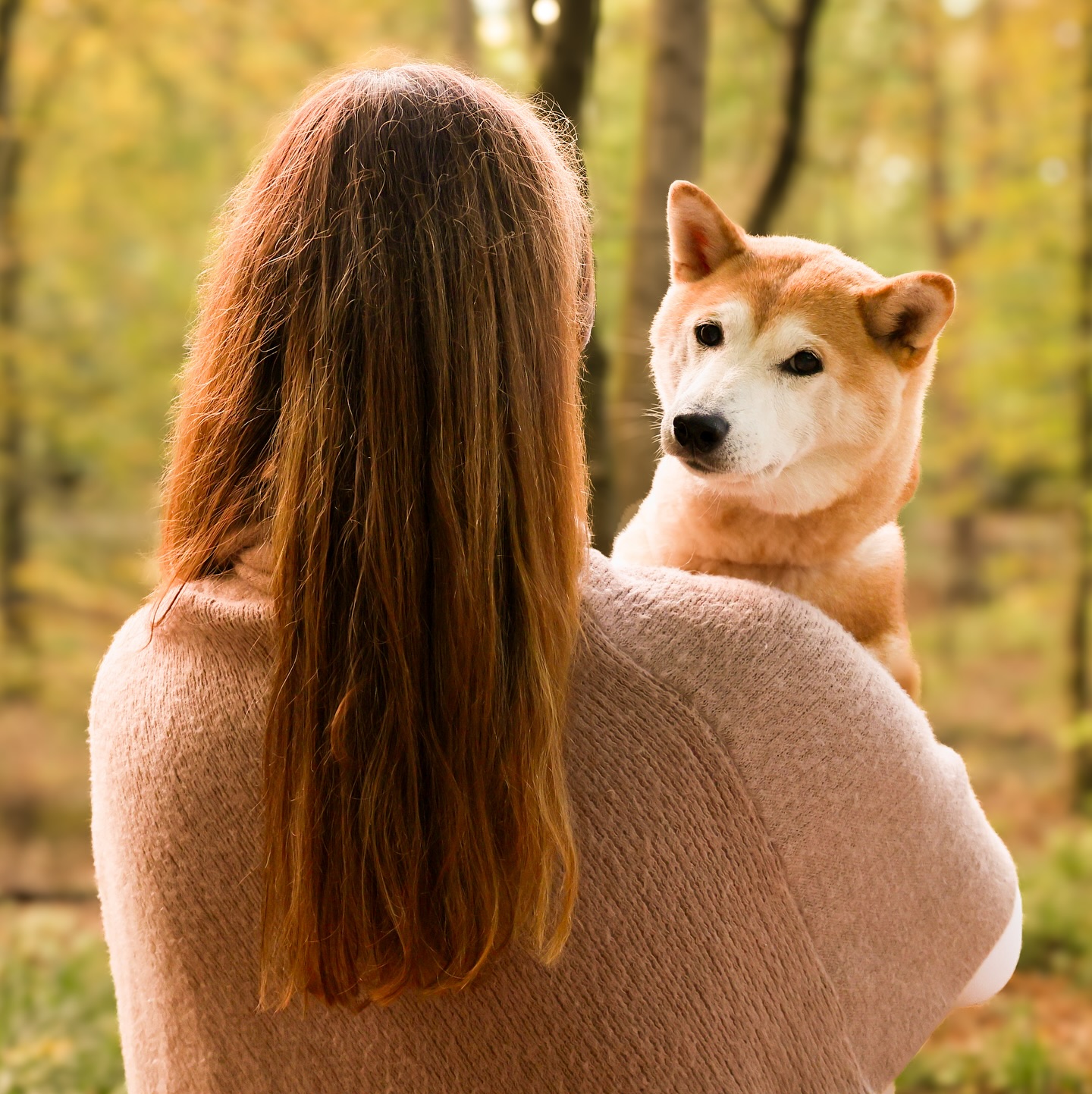 Fotoaktion - Herbstwelt 🍁🍂
-am Sonntag, den 23.11.2025 ab 10 Uhr in Essen-
-> individuelle Terminvergabe. 2 Plätze sind noch frei
Sprecht uns dafür gerne an
•
•
#soulmate #souldog #doglover #hundeliebe #hundeleben #instadog #dogsofinstagram #photography #photooftheday #dogphoto #pictureoftheday #hundefotografie #hundefoto #dog #hund #shiba #shibastagram #shibainu #shibalove
#shibadog