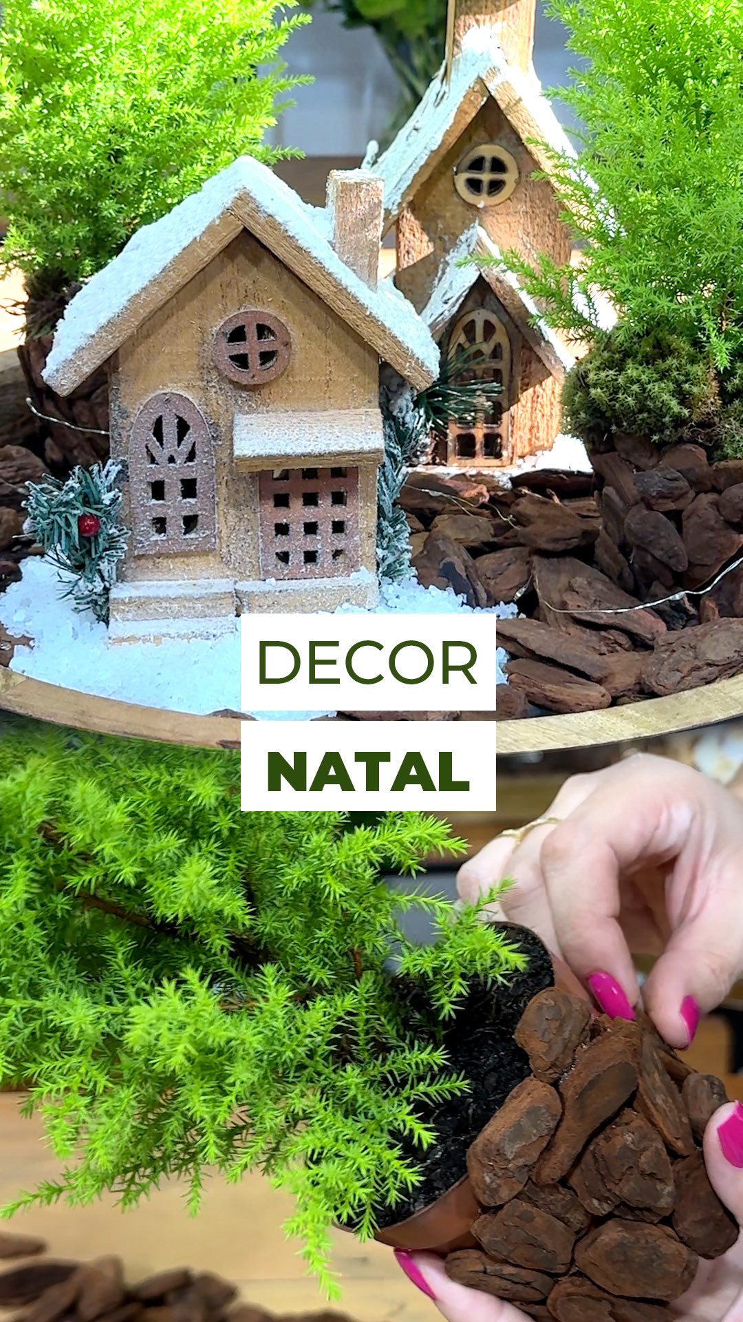 Um Natal Magico em cada detalhe! 🌲
Usamos cascas de pinus pra transformar o vaso da tuia P09 em um charme rústico e com as casinhas, criamos um mini cenário cheio de magia.
Simples, natural e com aquele toque que faz o coração entrar no clima de Natal.
E aí, o que achou dessa ideia?
Conta aqui nos comentários 👇
Acessórios by @floralatlanta
#natal #decoracaonatalina #natalnatural #natalverde #tuia #pinheironatal #decorfloral #natalcomflores #christmas #christmasdecor #decor #greenchristmas #decorcriativa #casinhasdenatal #natalrustico #cascadepinus #arvoredenatal #decornatal #decornatalina #decoração #xmasdecor #xmas #xmastree