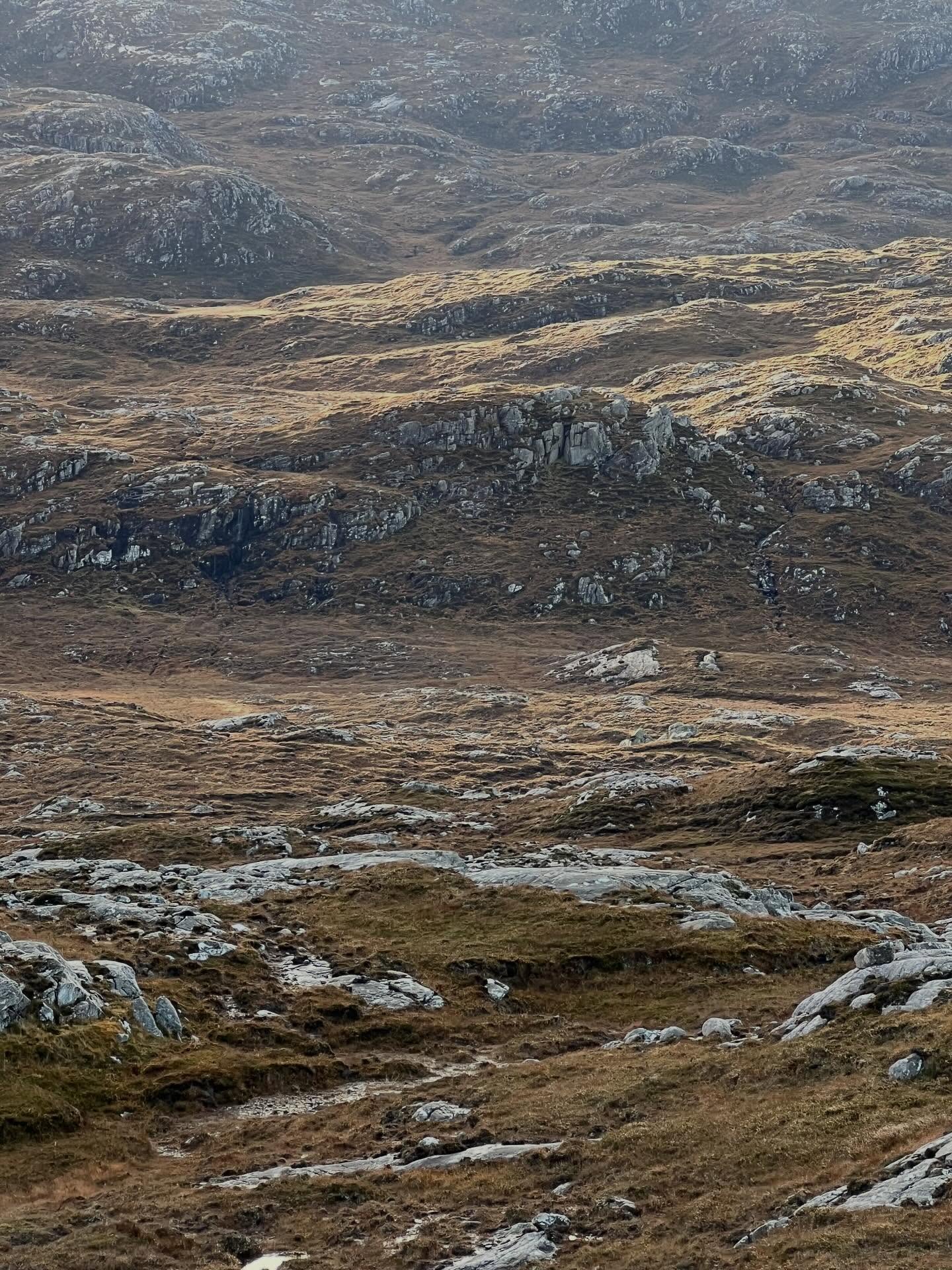 sléibhteag /ʃLʲeːvdʲag/
boir. gin. -eige, iol. -an
1 small hillside/slope 2 small mountain
#gàidhlig #gaelic #sitespecific #waysofseeing #lèirsinn #placebased