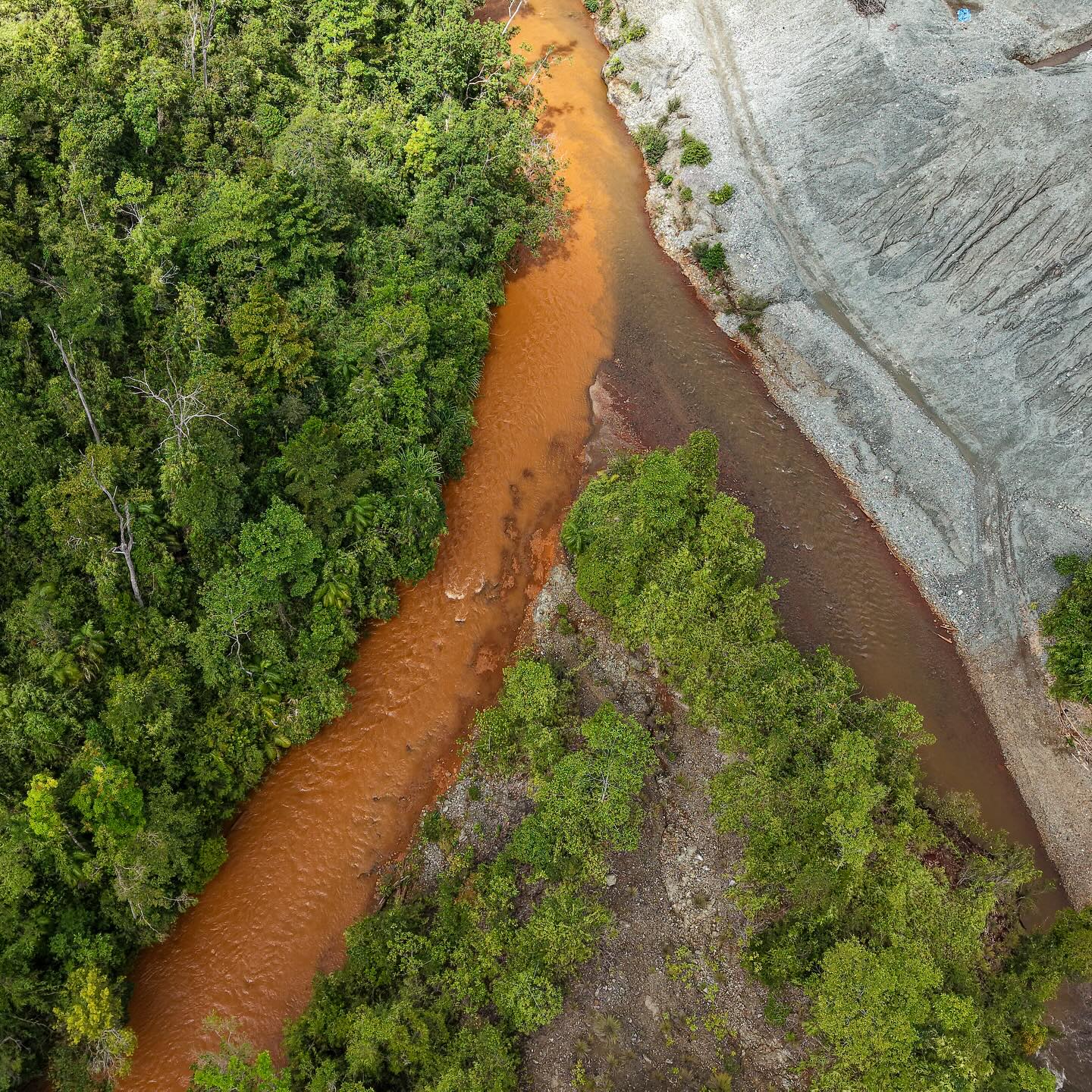 Mapping from Above
Using drone technology to identify representative aquatic habitats and impacted zones; from this aerial view, sediment runoff and river morphology become clearly visible. Aerial perspective helps us determine optimal survey and sampling locations with precision and environmental context.
📷: IS
#DroneSurvey #EnvironmentalMonitoring #eDNA #BiodiversitySurvey #WaterQuality #AerialMapping #OceanogenLab