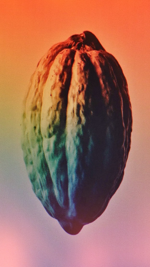 ✨ Remembering Cacao as a sacred teacher ✨
Cacao is a teacher, not a trend. Cacao is not just a drink, she is a spirit, an ancient wisdom keeper that speaks through the heart.
She invites us to slow down, to listen, to feel.
When you sit with her, she whispers not with words, but through your heart. ❤️🔥
✨ I’m happy to share 🜂 Part 1 of this new cacao series with you. Let’s listen more and honor her as the sacred plant she is. ✨
What is she whispering to you? ✨
Love, Mayu 🤎
•
•
#cacaomedicine #rememberingtheplants #sacredcacao #cacaowisdom #mamacacao #ceremoniallife #cacaodelavida #cacaoritual #cacaowhispers #medicinewoman #mayudelavida #cacaoceremony