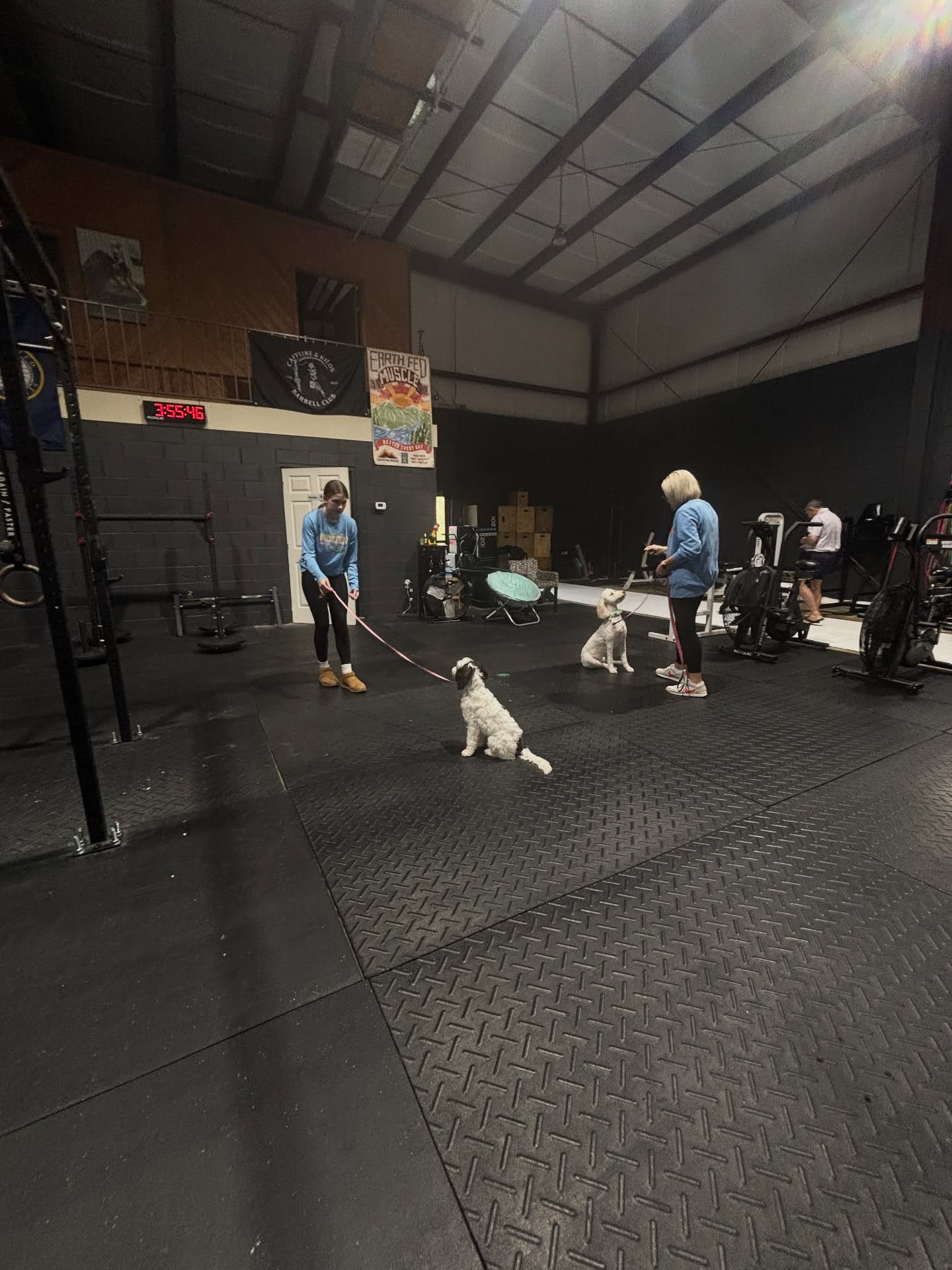 🎉 Puppy Class Wrap & Next Steps! 🐾
We just wrapped up an amazing Savannah Puppy Group Class! Congrats to all the incredible pups and owners! We’re so proud that this group is already signed up for Level 2 Dog Obedience starting in January!
Want your puppy to join the Happy Hounds success story?
🗓️ New Class Starts Soon!
Our next Savannah Puppy Class (Level 1) kicks off Saturday, November 22nd!
If you’re in Savannah, GA, this is the perfect time for puppy socialization and training!
Spaces are limited! Send us a DM right now to secure your spot for the November 22nd class. Full details coming tomorrow!
#HappyHoundsDogTraining
#SavannahPuppyClass
#PuppyTraining
#DogTraining
#PuppySocialization
#SavannahGA