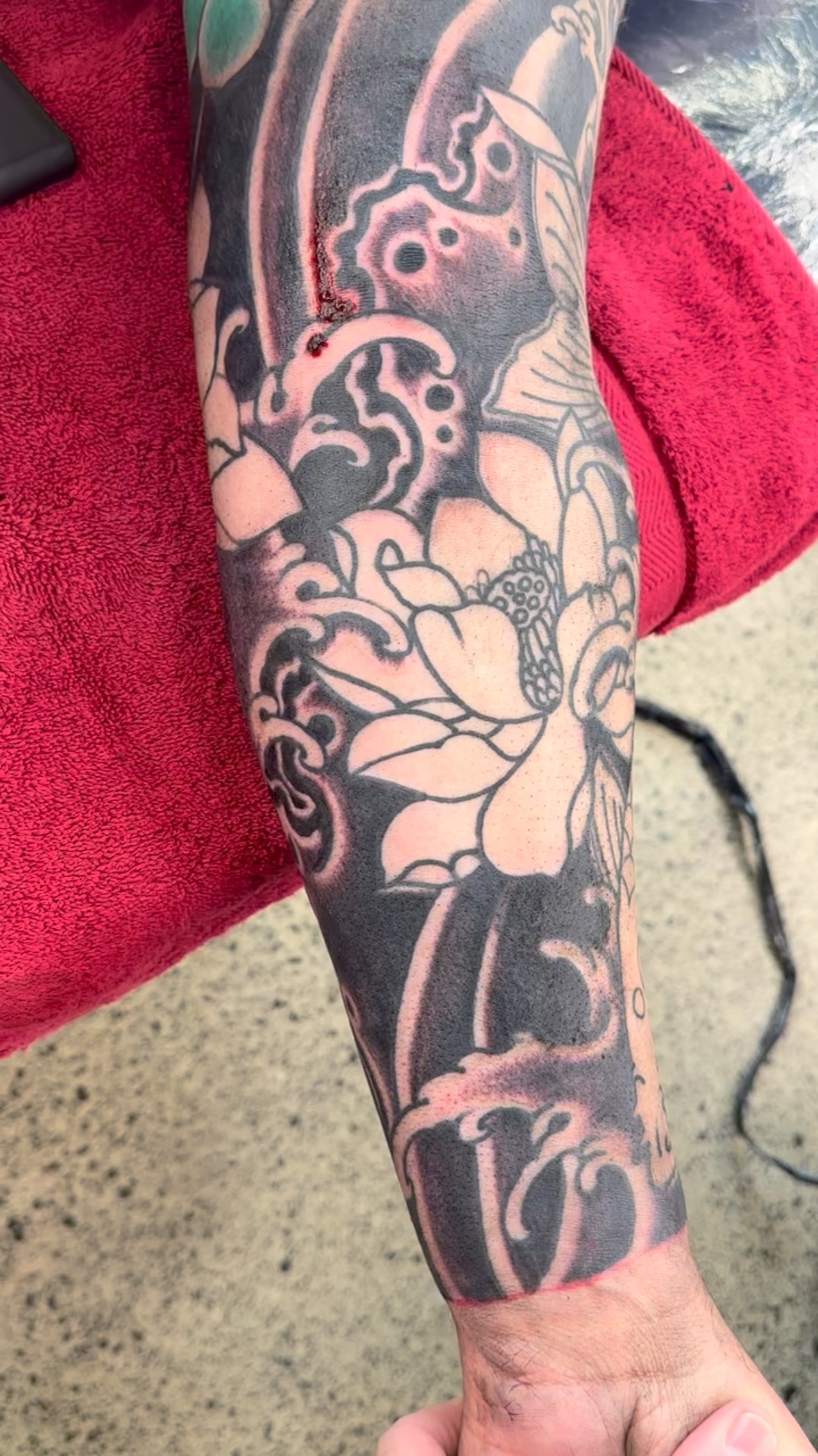 WIP by @adamcraft.tattoo Japanese Expert
New clients welcome - now’s the time!
Email: tattoos@thetattooedheart.co.nz
#tattoo #tattoos #tattooing #adamcraft #adamcrafttattoo #tattooart #sleeve #sleevetattoo #japanesesleeve #wabori #japanesetattoo #japanesetattoos #youtube #japanesetattooing #coveruptattoos #blacktattoos #bodysuittattoo #professionaltattoo #love #thetattooedheart #auckland #flash #newzealand #newzealandtattoo #getabodysuit #aucklandtattoo #irezumi #tattooflash #thetattooedheartnz
Walk-ins/Bookings - Custom/Flash:
(09)3792662
WE❤️TATTOOS!