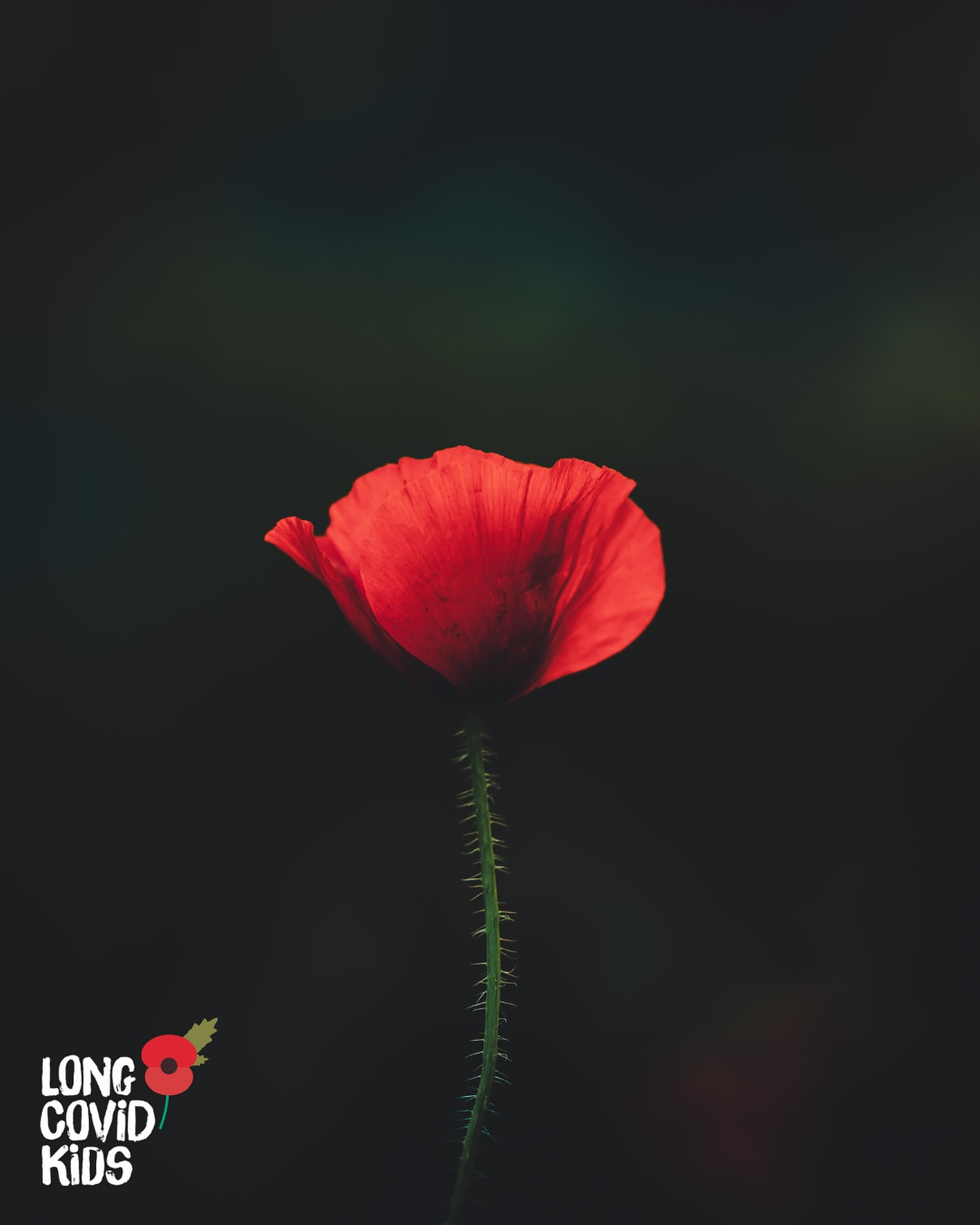11am on the 11th of the 11th month.
“When you go home, tell them of us and say, For your tomorrow, we gave our today.”
#wewillrememberthem #remembranceday🌹 #longcovidkids #lestweforget