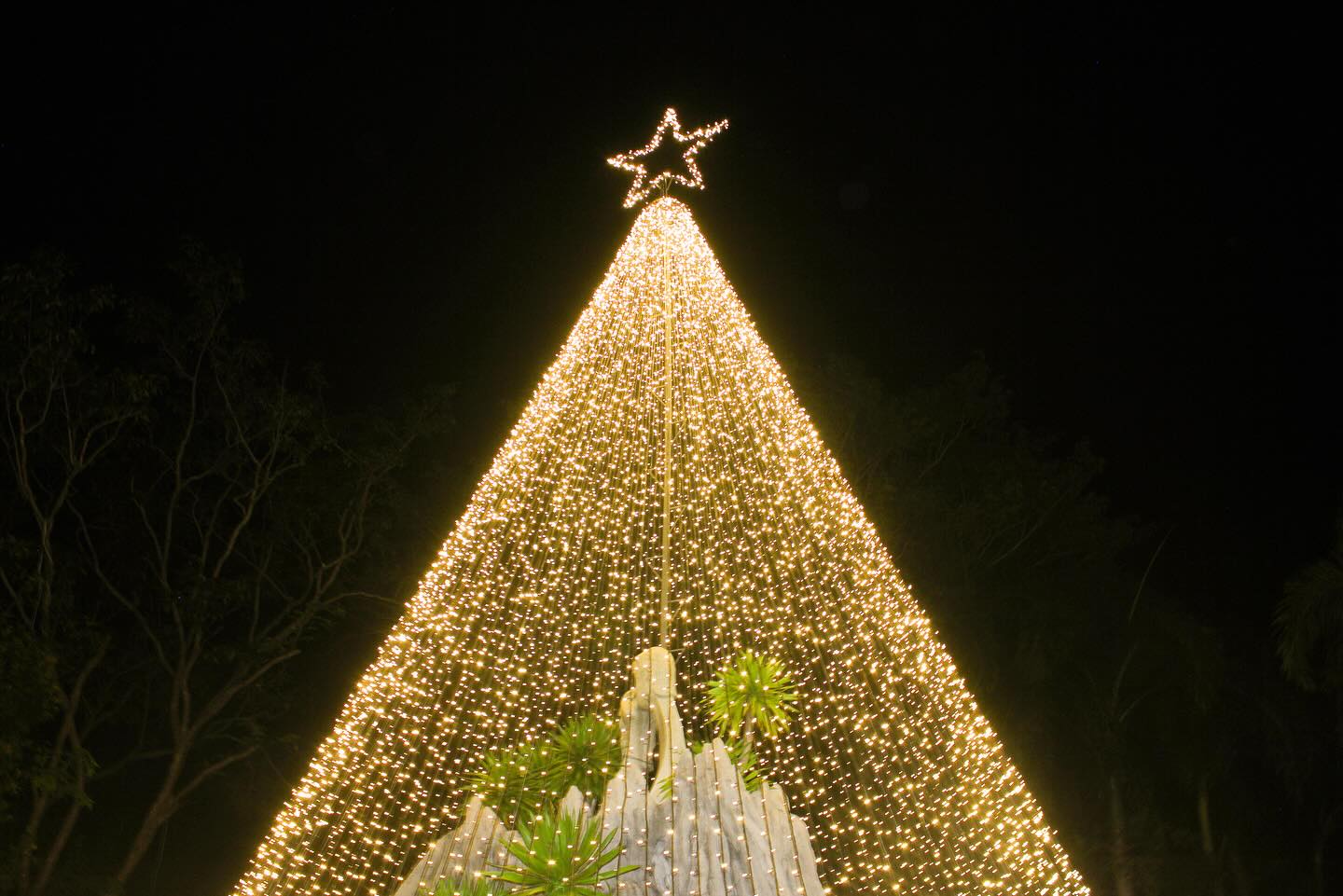It’s beginning to look a lot like Christmas at SETIR 🎄✨
Here’s a glimpse of our Christmas tree lighting as we kick off the island’s festive season.
sunlighthotelsandresorts.com/setir
#DoseOfSunlight #Holidays #SETIR #Palawan #Philippines