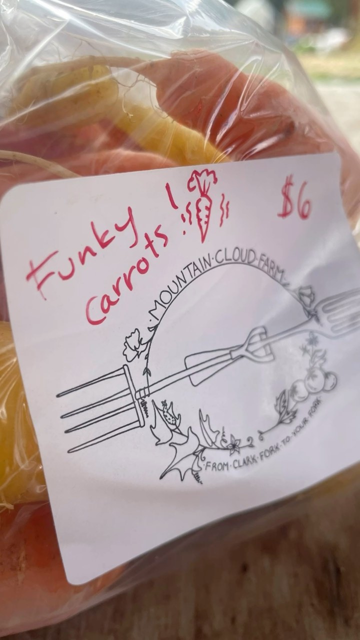 Funky carrots make their debut at our on farm store! Head to Clark Fork to get these gems, each with a unique dancing carrot on the labels. #carrots #smallfarm #regenerativefarming #farmstore #funkymusic
