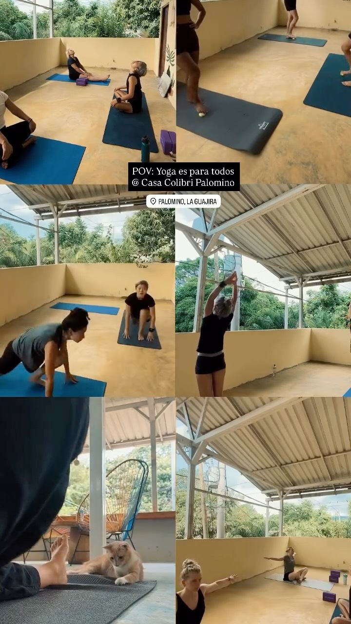 🧘🏽♀️🧘🏼🧘🏻♂️🧘🏿♀️“El yoga es para todos. No necesitas ser un experto ni estar en la cima de tu condición física para practicar las asanas descritas… El yoga ayuda a integrar el plano mental y el físico, generando una sensación de equilibrio interior y exterior, o lo que yo llamo alineación. La verdadera alineación significa que la mente interior llega a cada célula y fibra del cuerpo.” - BKS Iyengar
🌸Esos momentos de yoga @casa_colibri_palomino
🧘🏽♀️🧘🏼🧘🏻♂️🧘🏿♀️”Yoga is for everyone. You need not be an expert or at the peak of physical fitness to practice the asanas described...Yoga helps to integrate the mental and the physical plane, bringing about a sense of inner and outer balance, or what I term alignment. True alignment means that the inner mind reaches every cell and fiber of the body.” - BKS IYENGAR
🌸Those moments of Yoga @casa_colibri_palomino
#YogaForEveryone #YogaJourney #MindBodyBalance #InnerPeace #casacolibripalomino #YogaLife #holisticholiday #YogaPractice #FindYourBalance #ColombiaYoga #TravelWell #wellnesshotel #freeyoga #HolisticHealth #YogaCommunity #YogaParaTodos #YogaColombia #EquilibrioInterior #PazInterior #BienestarTotal #RetiroDeYoga #PracticaYoga #AlimentaElAlma #YogaEnLaPlaya #LaGuajira #ConexiónCuerpoMente #yogagratis #YogaYVida
