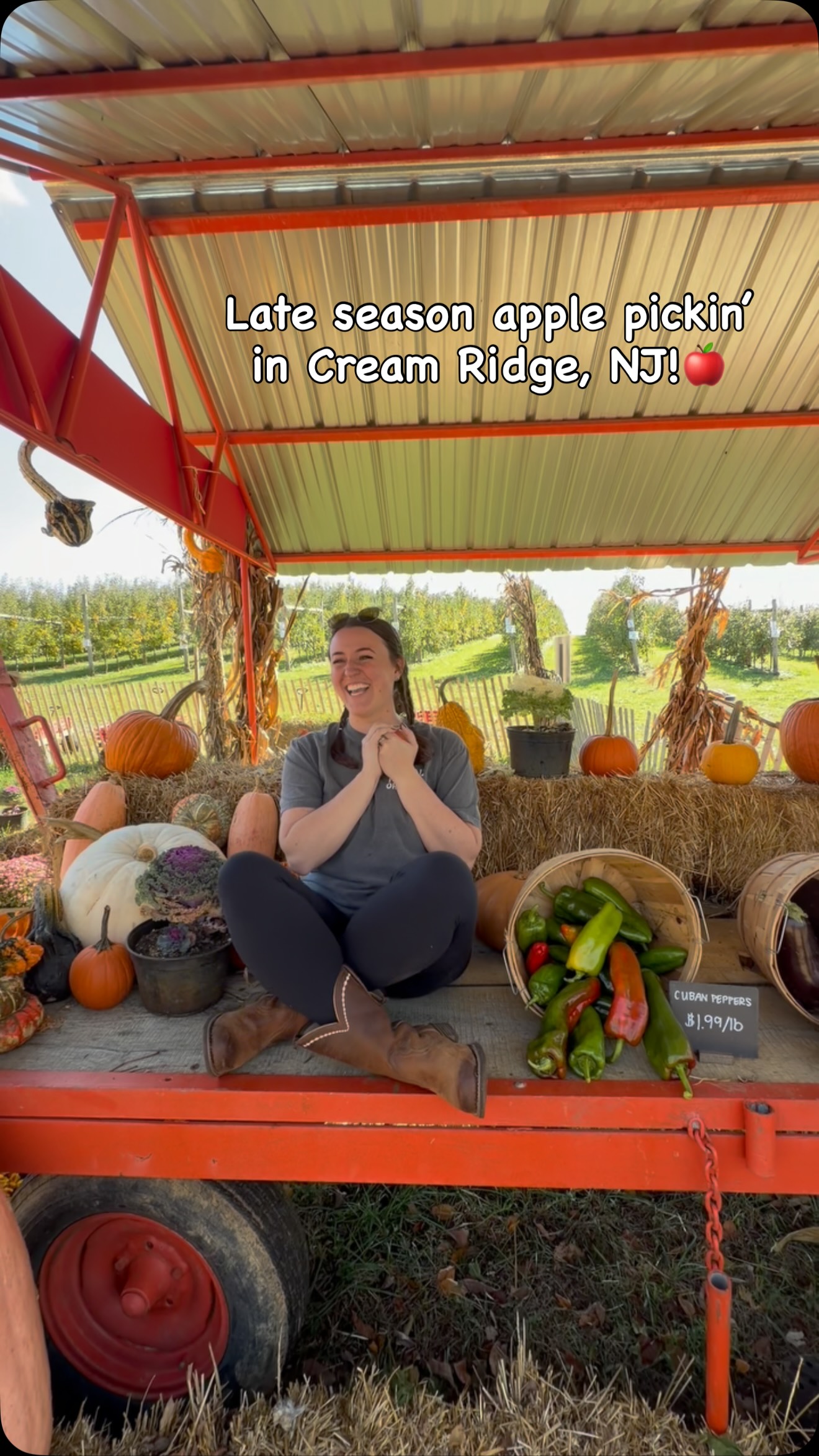 We’re still here! Lots of amazing late season varieties to pick and a limited amount of time to get outside and enjoy the beautiful fall weather! We’re here until 5:00 today Saturday 11/8! #monmouthcounty #newjersey #applepicking🍎 #fallvibes #farm #anniesorchardnj