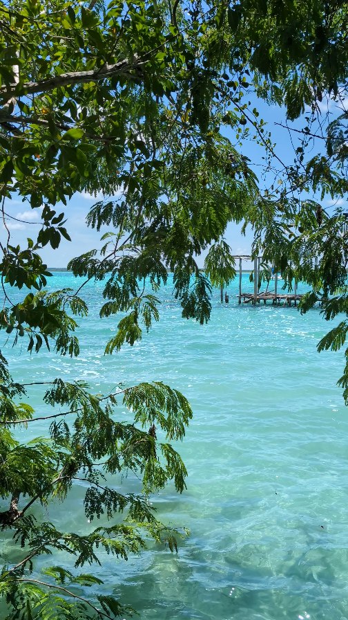 ✈️ 7 jours au Mexique 🇲🇽
> 7 jours dans un hôtel 4 étoiles tout inclus 🌴
pour seulement 599 $ / personne 😍
Soleil, plage, mojitos et repos…
le tout sans exploser ton budget 🏖️
💫 Et le mieux dans tout ça ?
Des économies comme celle-là, on en a partout dans le monde,
toute l’année.
Écris VOYAGE en commentaire et je t’envoie les infos 🥰
.
.
.
#voyage #mexique #bonplanvoyage #ricafamilia #pepettevibe #fyp #foryoupage #fypシ゚