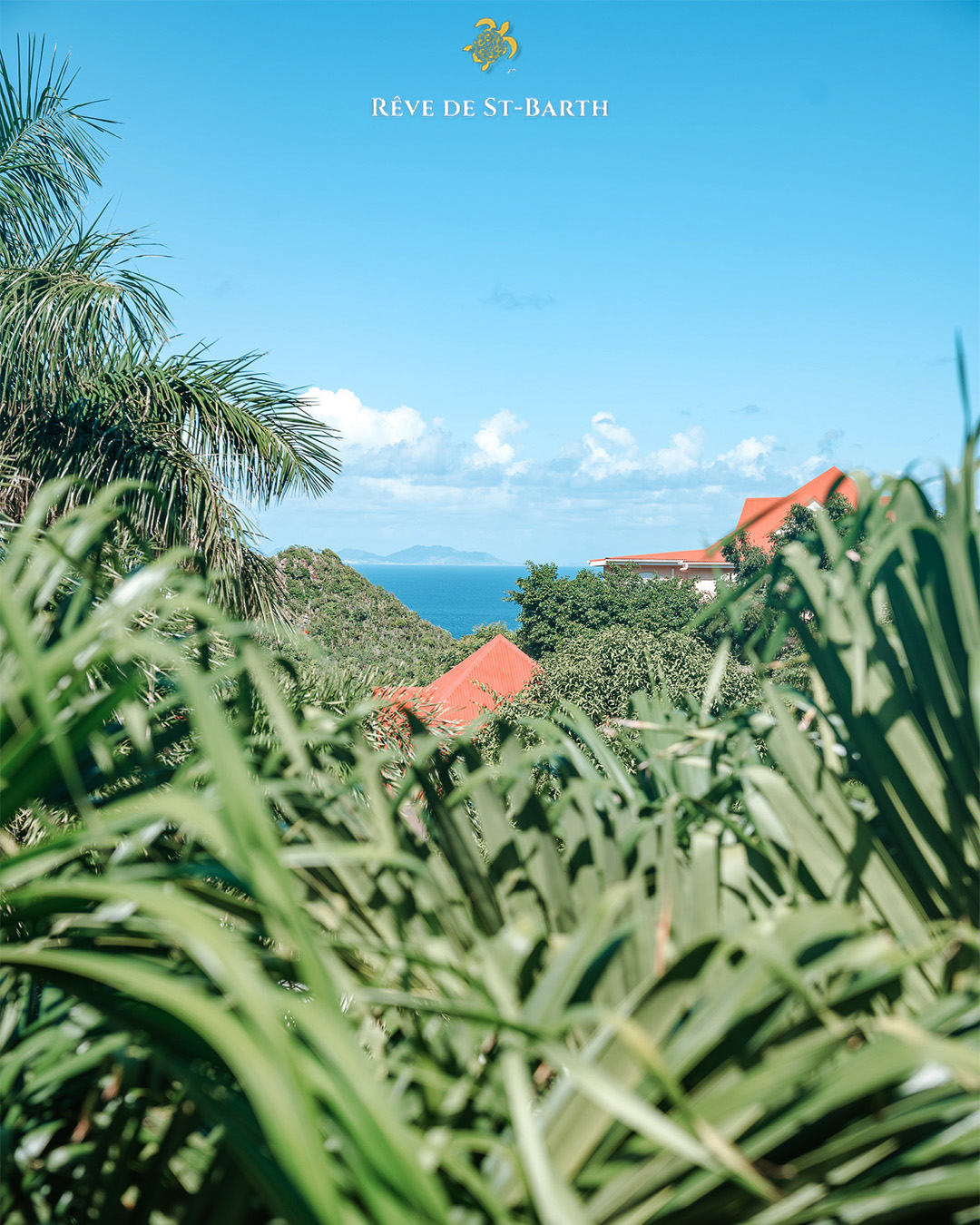 A glimpse of the ocean, framed by tropical palms 🌴
This is the kind of view that slows time down and clears your mind : welcome to Rêve de St-Barth.
#SaintBarth #Caribbean #IslandVibes #StBarthLife #Travel