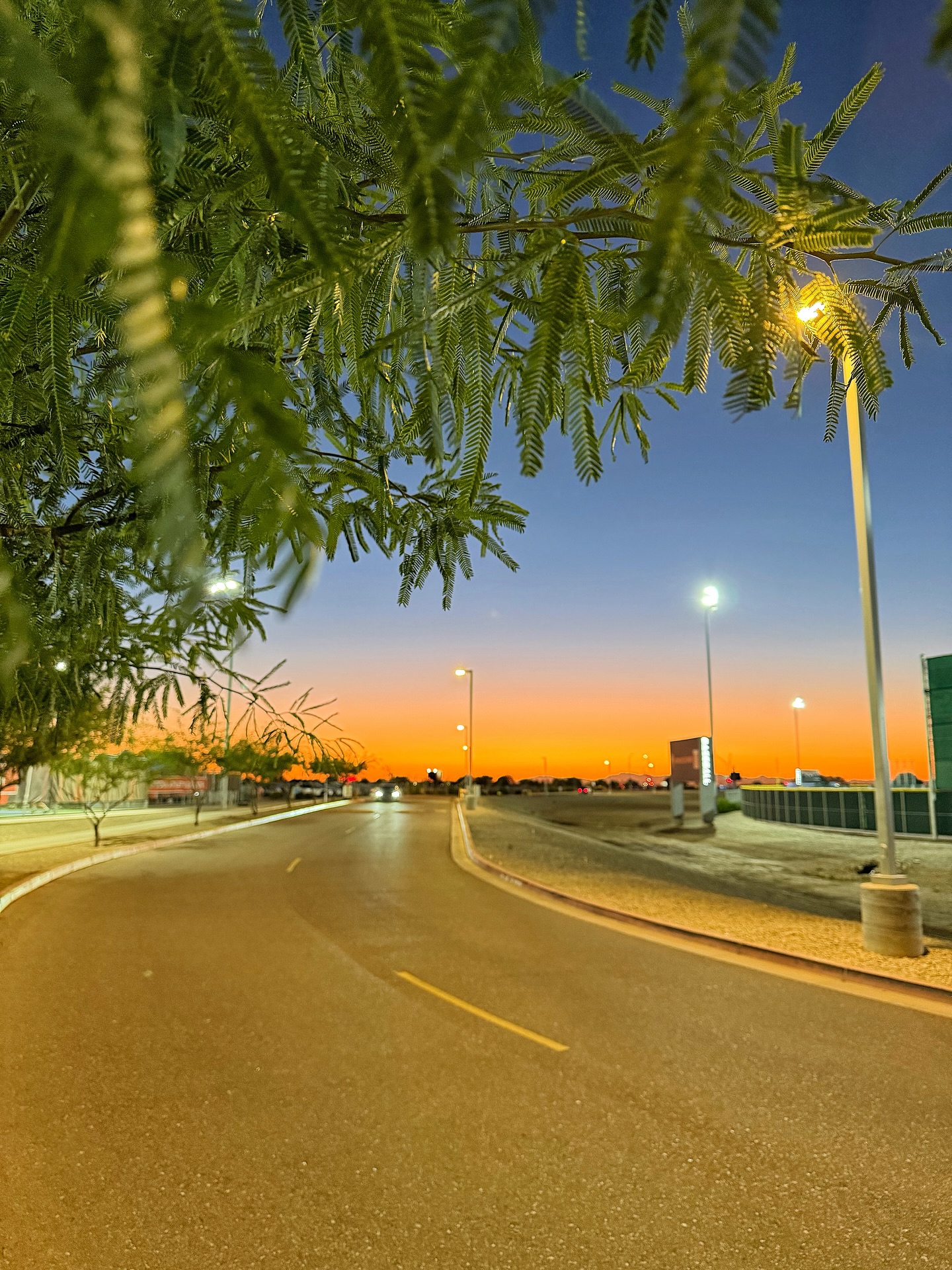 Des(s)ert Skies and Pickleball Highs 🌵✨