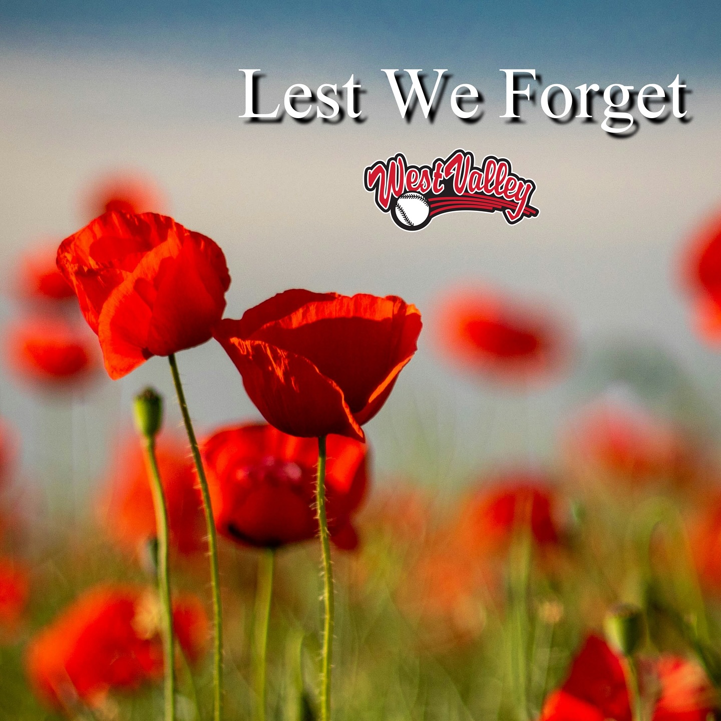 Thank you to all who are serving, have served or made the ultimate sacrifice to preserve peace and freedom - we remember you this Remembrance Day.
#LestWeForget #CanadaRemembers