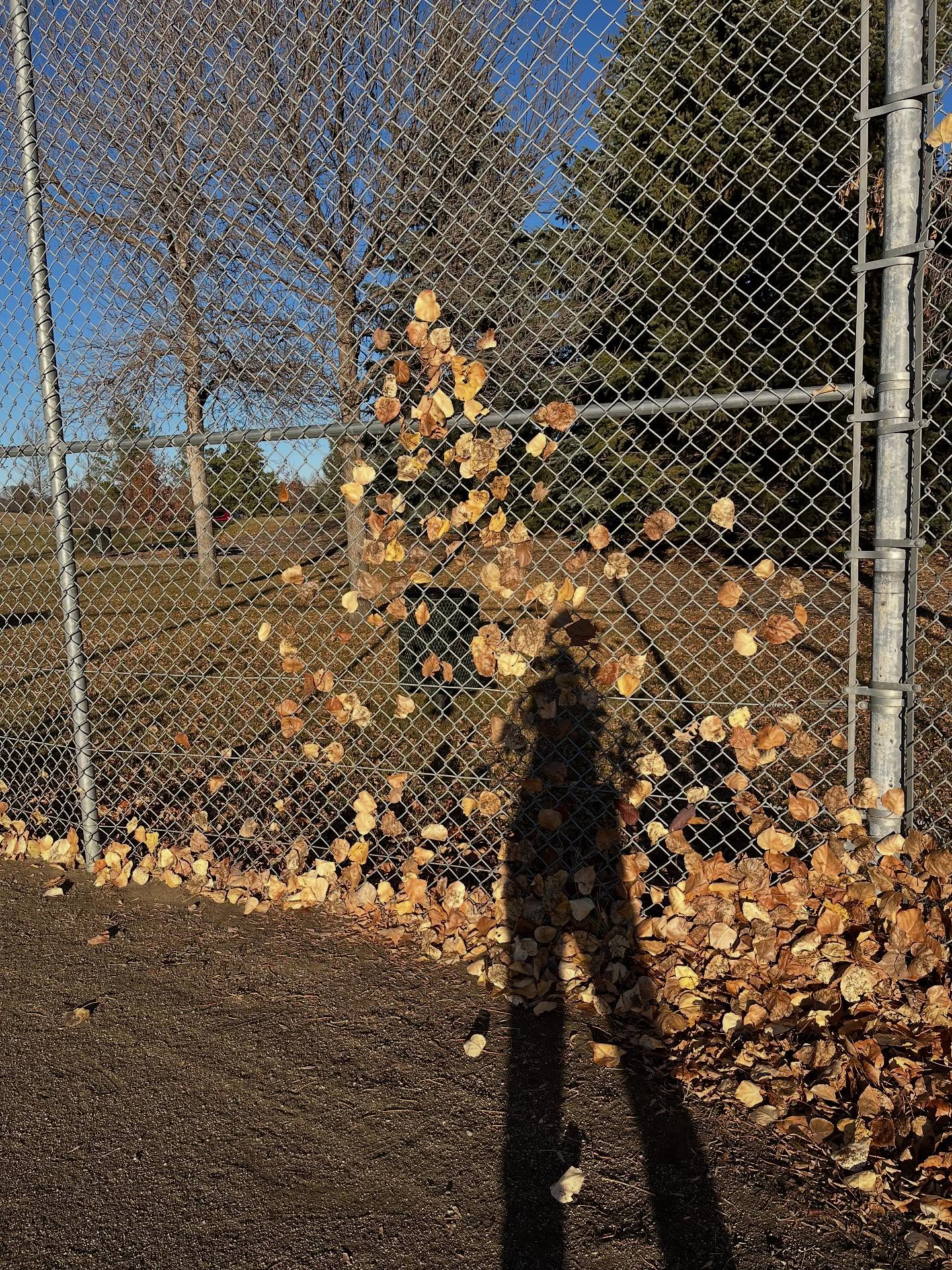 Play
Those leaves you see stuck halfway up the fence, that was caused by me, the wind, and following the desire to toss a pile of leaves in the air. I am very proud. Lol.
Such fun, such surprise… a waiting till the wind would die, and then all the leaves would fall again. Inviting me to again toss, see, and hear. I don’t know how to describe the sound that accompanied the sandwiching of leaves to the fence… perhaps the sound of a long yearned for hug.
Lately, my internal world has felt challenging and chaotic. This play was such a balm and relief.
We are riding waves in this lifetime… and us adults need play.
Invitation, to try something low pressure you don’t know the outcome of. Toss some leaves, scribble, shake your legs, put on a song and dance, lay down and look at the sky. I don’t know… but I dare you step a toe into the unknown in the name of play. 😉