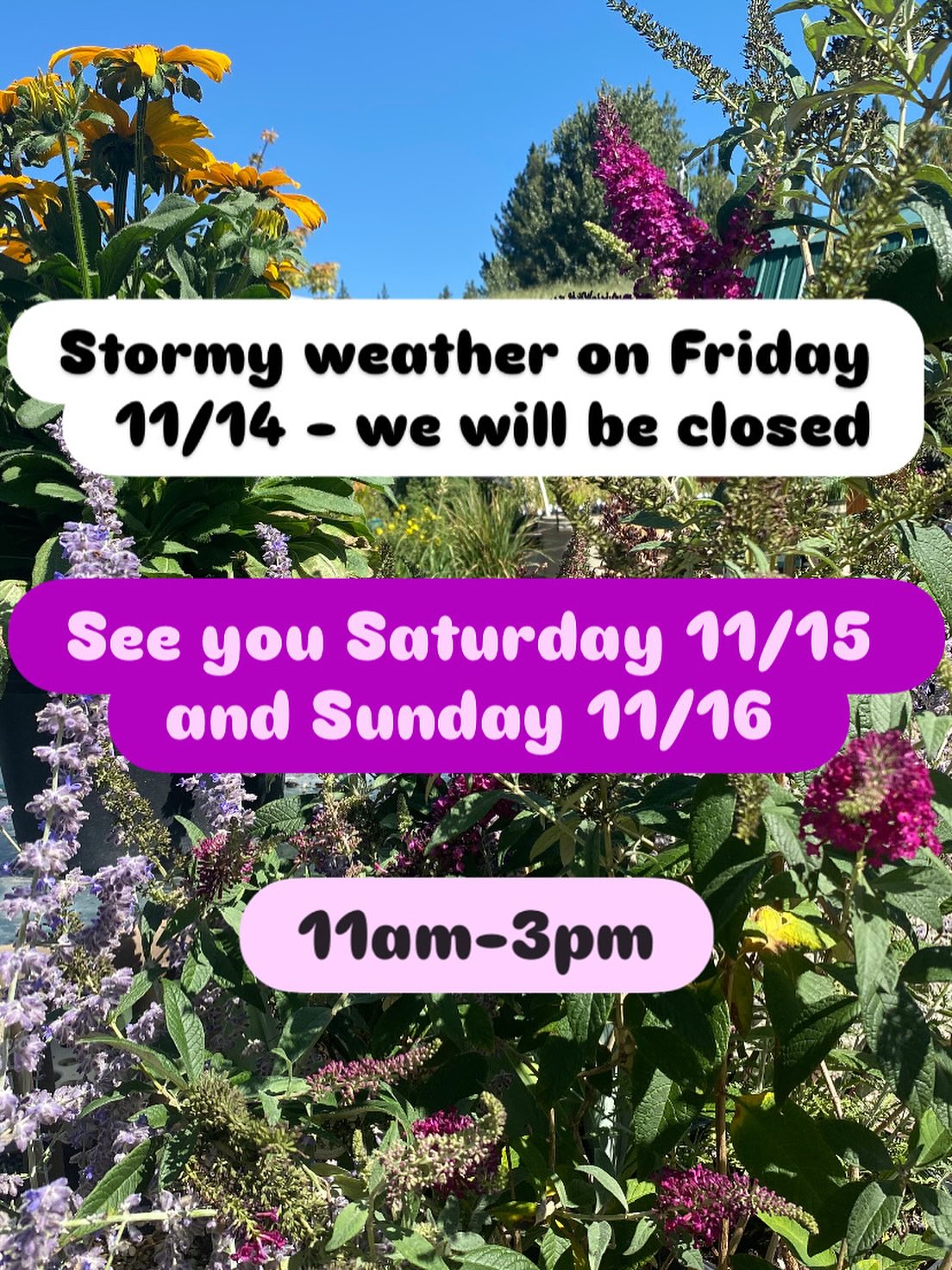 See you this weekend! 🌲🍂