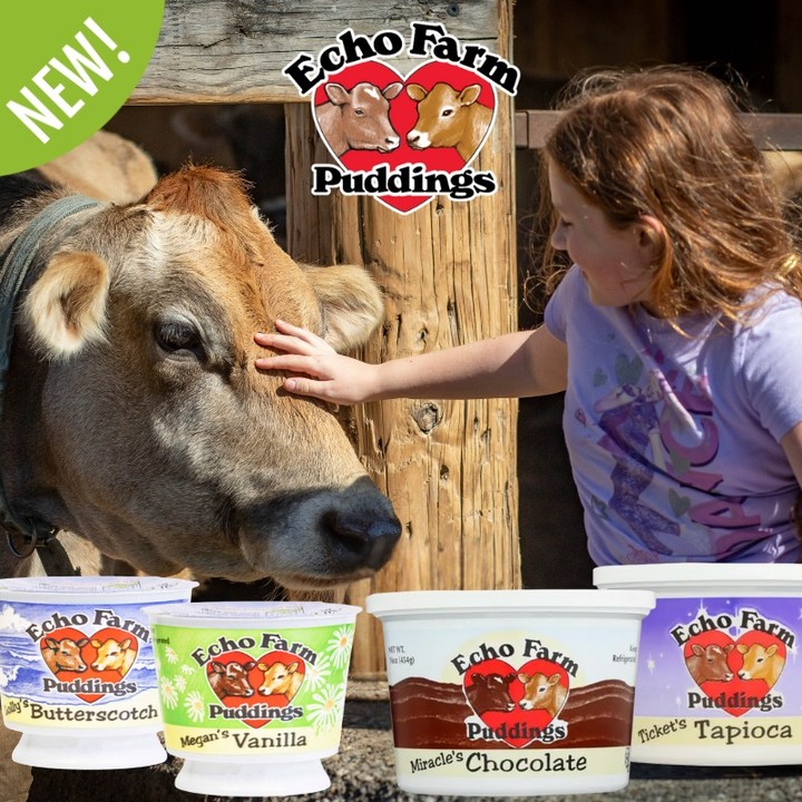 New! 🥄
Echo Farm Puddings – Hinsdale, NH 🐄
What started as a “4-H project gone haywire” has grown into one of New England’s most beloved pudding brands. Since the 1990s, sisters Beth and Courtney Hodge have crafted small-batch, farmstead puddings using milk from their Certified Humane Jersey and Milking Shorthorn cows.
No high-fructose corn syrup and 100% gluten-free, these puddings deliver rich, all-natural, farm-to-table flavor. (The chocolate is made with Ghirardelli chocolate!)
✨ Flavors: Butterscotch, Chocolate, Maple, Rice, Tapioca, Vanilla
🎃 Seasonal: Spiced Pumpkin
📦 Cases: 12 × 6 oz cups / 12 × 16 oz tubs
Indulgent. Authentic. A New England classic.