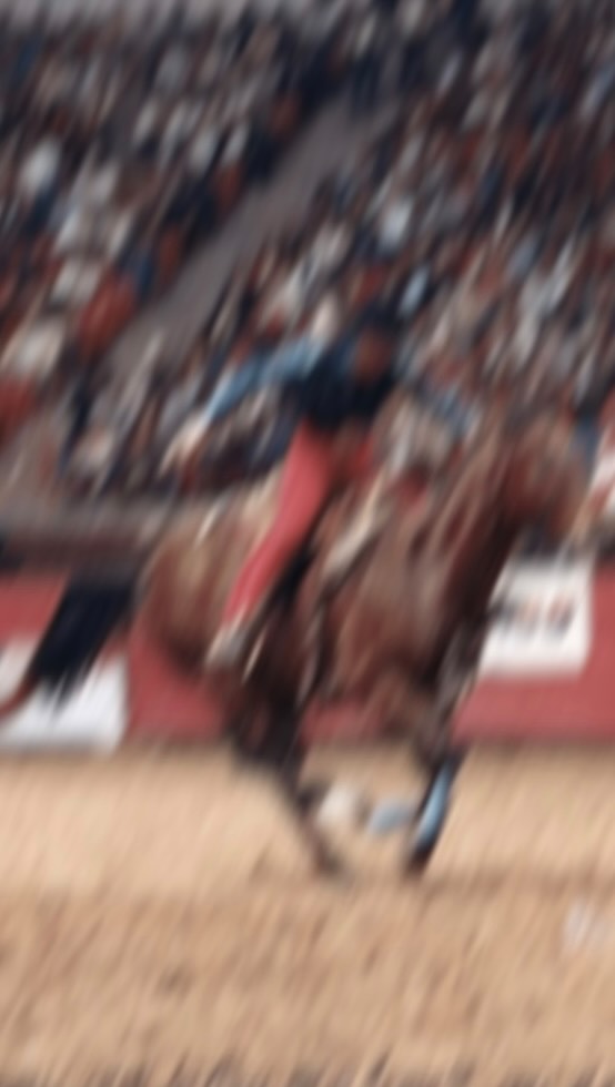 Iconic throwback 1985 @lasvegasnfr moments with Charmayne James, Scamper, the bridle and that Round 7 win….
Credits: PRCA and Charmayne James