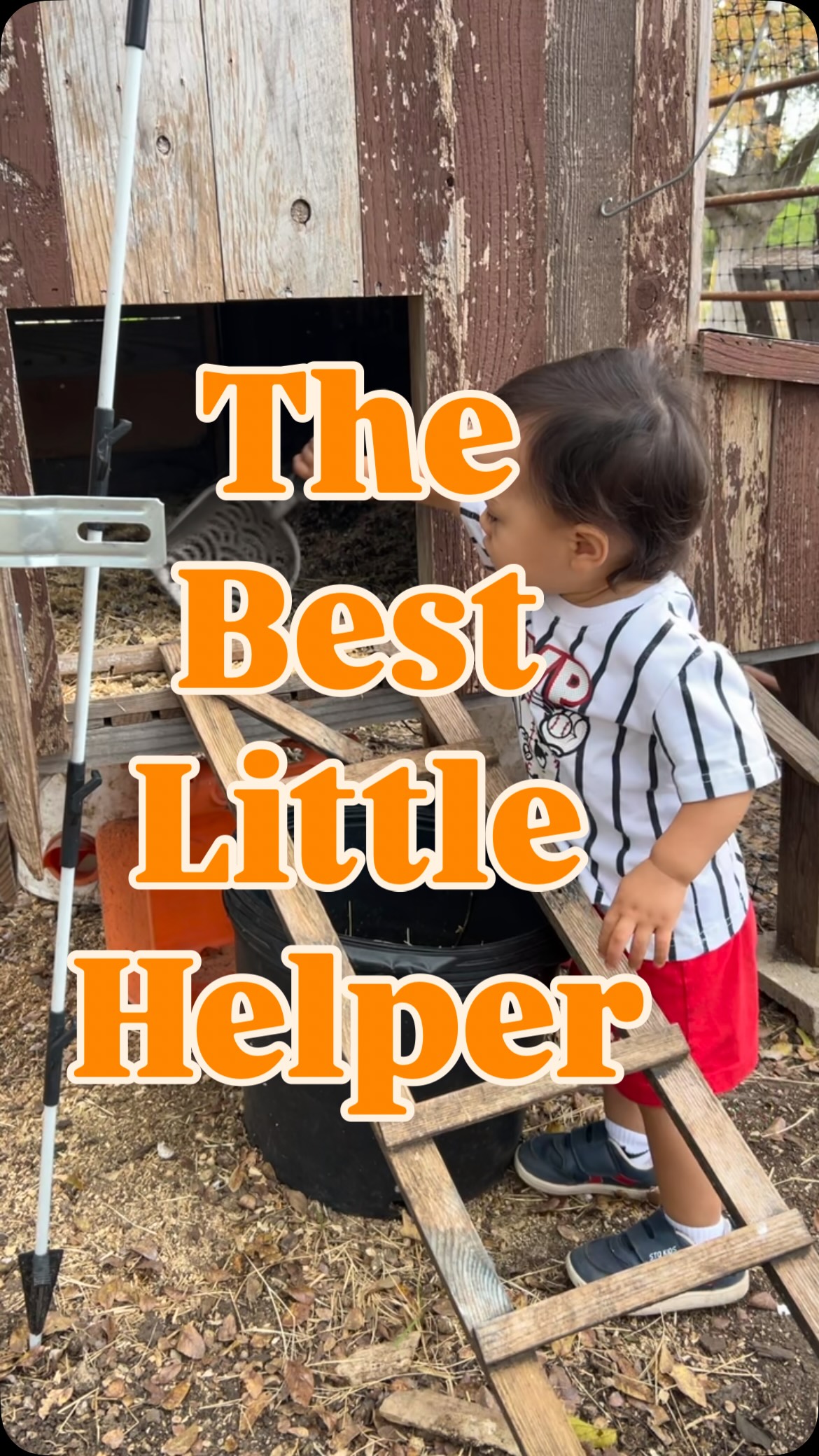We bake in extra time for our morning chores so our son can participate. Inviting our son to do farm chores with us shows him he has real responsibility and a valued role. It takes a few more minutes but watching him learn, try, and feel important makes every extra minute worth it