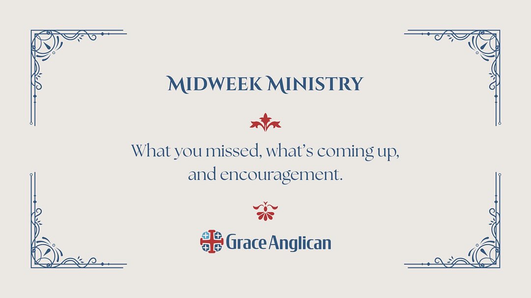 Happy Wednesday, everyone!