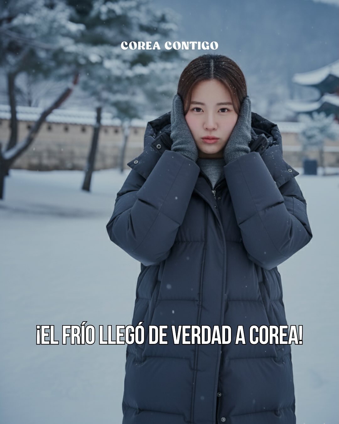 ¡El frío llegó de verdad a Corea!
Esta semana en Seúl las temperaturas están bajando hasta –5°C, y en los próximos días también se esperan mañanas bajo cero.
Además, según el pronóstico… ¡podría nevar esta semana o la próxima! ⛄✨
El clima está precioso, pero hace frío de verdad, sobre todo por la mañana y por la noche.
🧤 Consejos útiles para viajeros:
• Trae chaqueta térmica, bufanda y guantes
• Un gorro o algo para cubrir las orejas viene muy bien con el viento frío
• En Corea puedes comprar “hot packs” (핫팩) muy fácilmente: en cualquier tienda de conveniencia (CU, GS25, 7-Eleven), Olive Young o Daiso.
Son bolsitas térmicas que se calientan al agitarlas y duran varias horas — ¡perfectas para el frío intenso! 🔥
• Si llega a nevar, los palacios y las calles de Seúl se ven como un cuento de invierno ✨
#corea #coreadelsur #coreacontigo #coreacontigotour #viajeacorea #viajaracorea #tourenespañol #guíaenespañol #turismoencorea #temperaturabaja #invierno #frío #inviernoencorea #climaencorea #nieveencorea #한국 #겨울 #핫팩