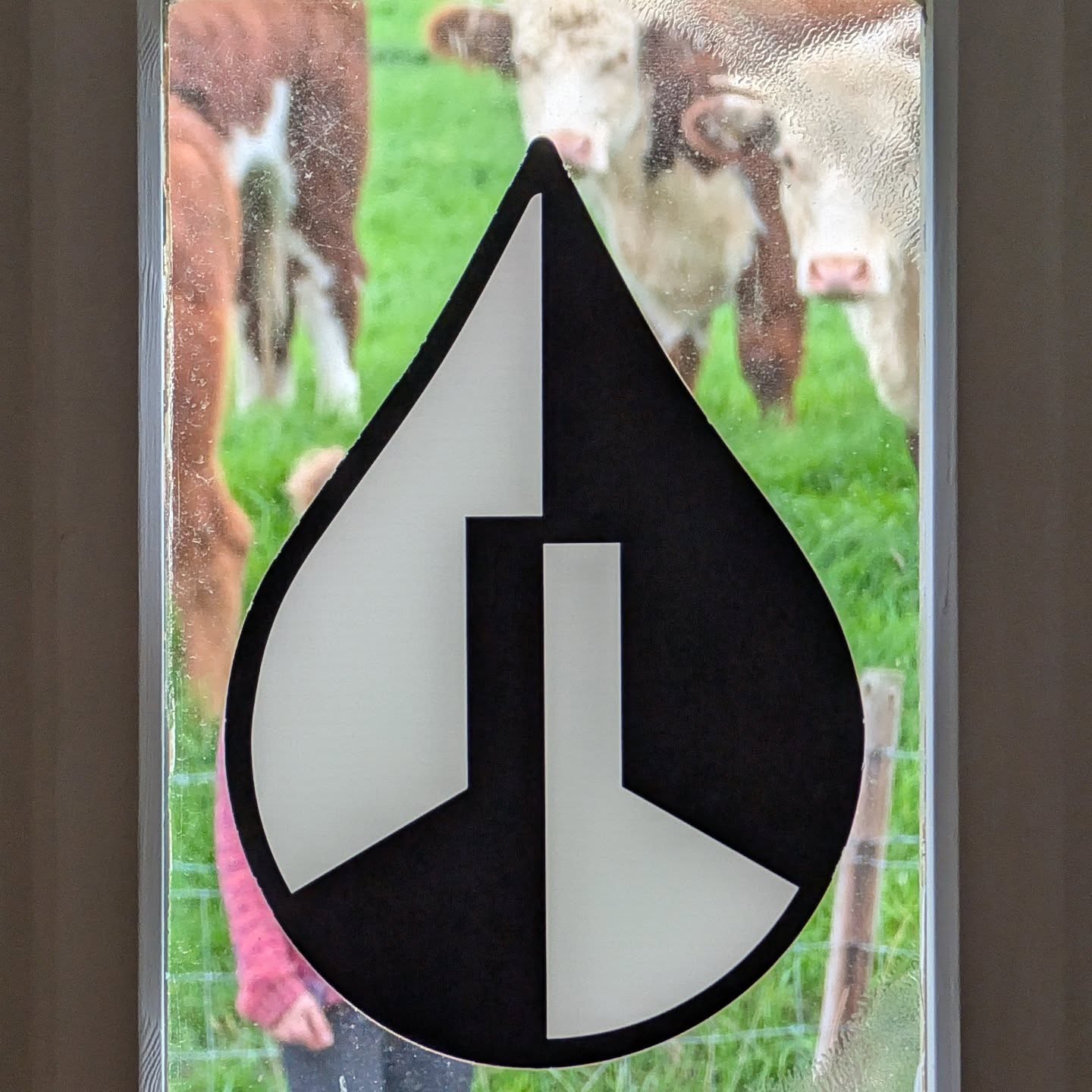 Our current onlookers.
We love our friendly cow neighbours ๐