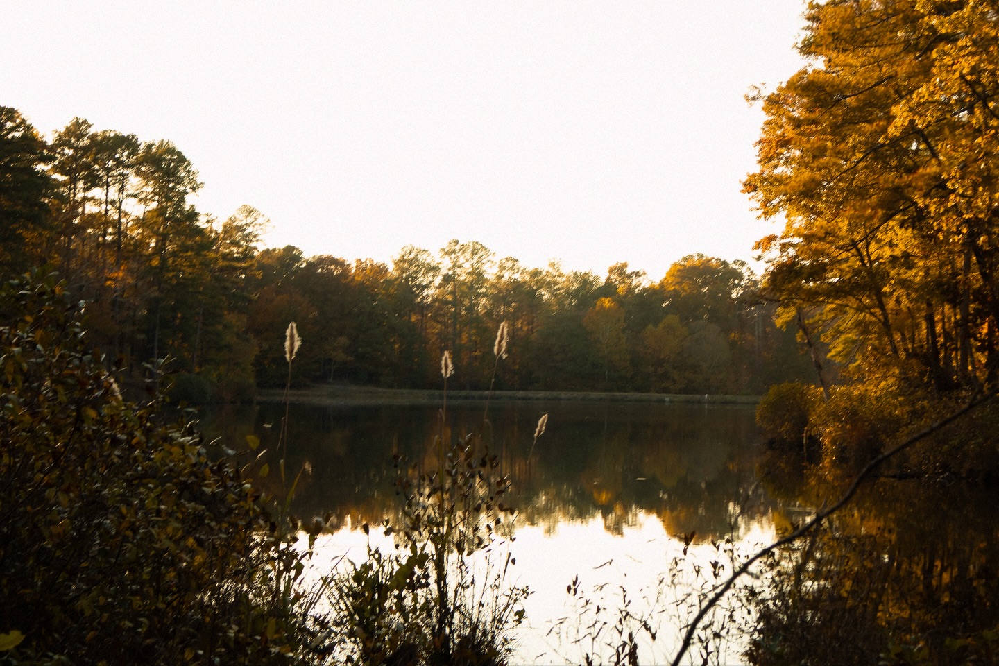 New season dropped (literally dropped, because it’s fall)