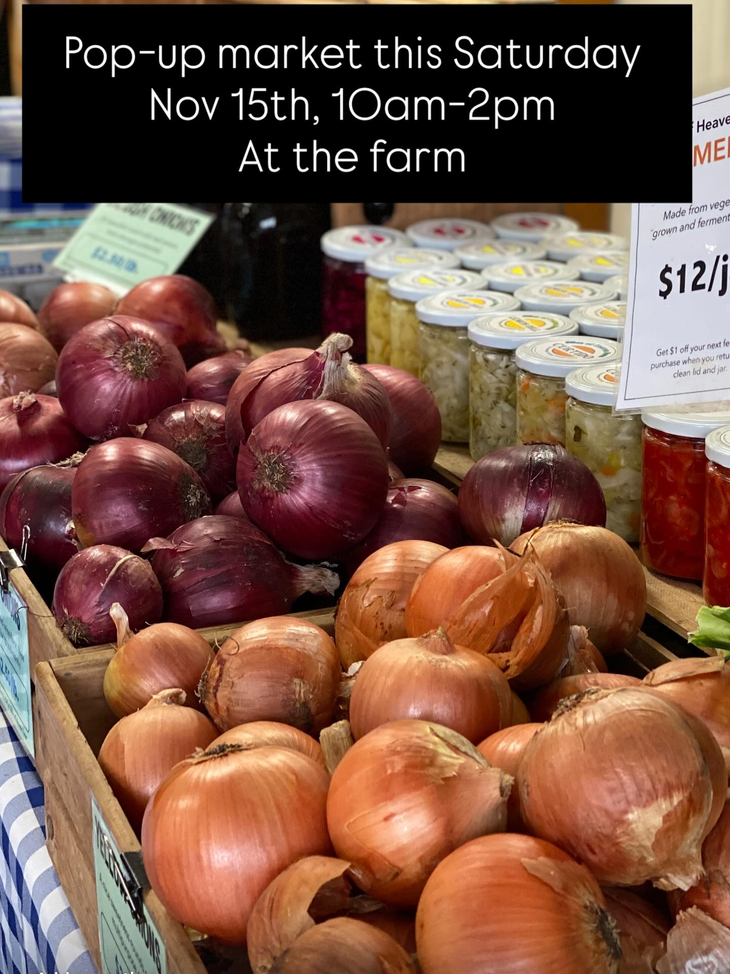 POPUP FARMERS MARKET AT OUR FARM THIS SATURDAY
November 15th, 10am to 2pm
Lots of fresh vegetables
Lots of storage veggies
Ferments
Maple syrup
Homemade baked goods, sweet and savory
Market CSA cards