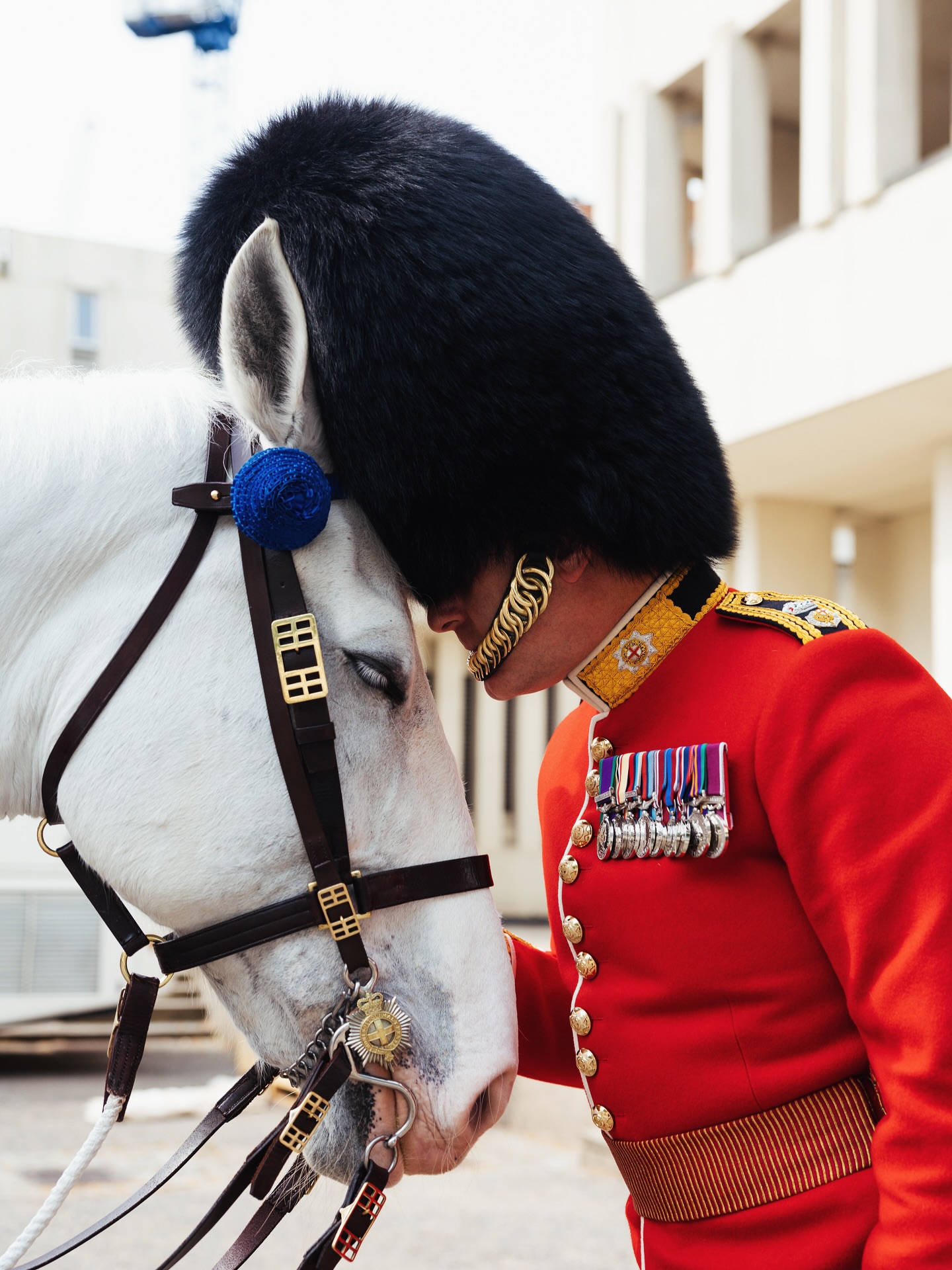 ‘At the going down of the sun and in the morning, We will remember them.’
Today we’re thinking of all the men, women, and horses who made the ultimate sacrifice in war. Lest We Forget. 📸 @samuelmchurchill
#remembrancesunday #lestweforget
