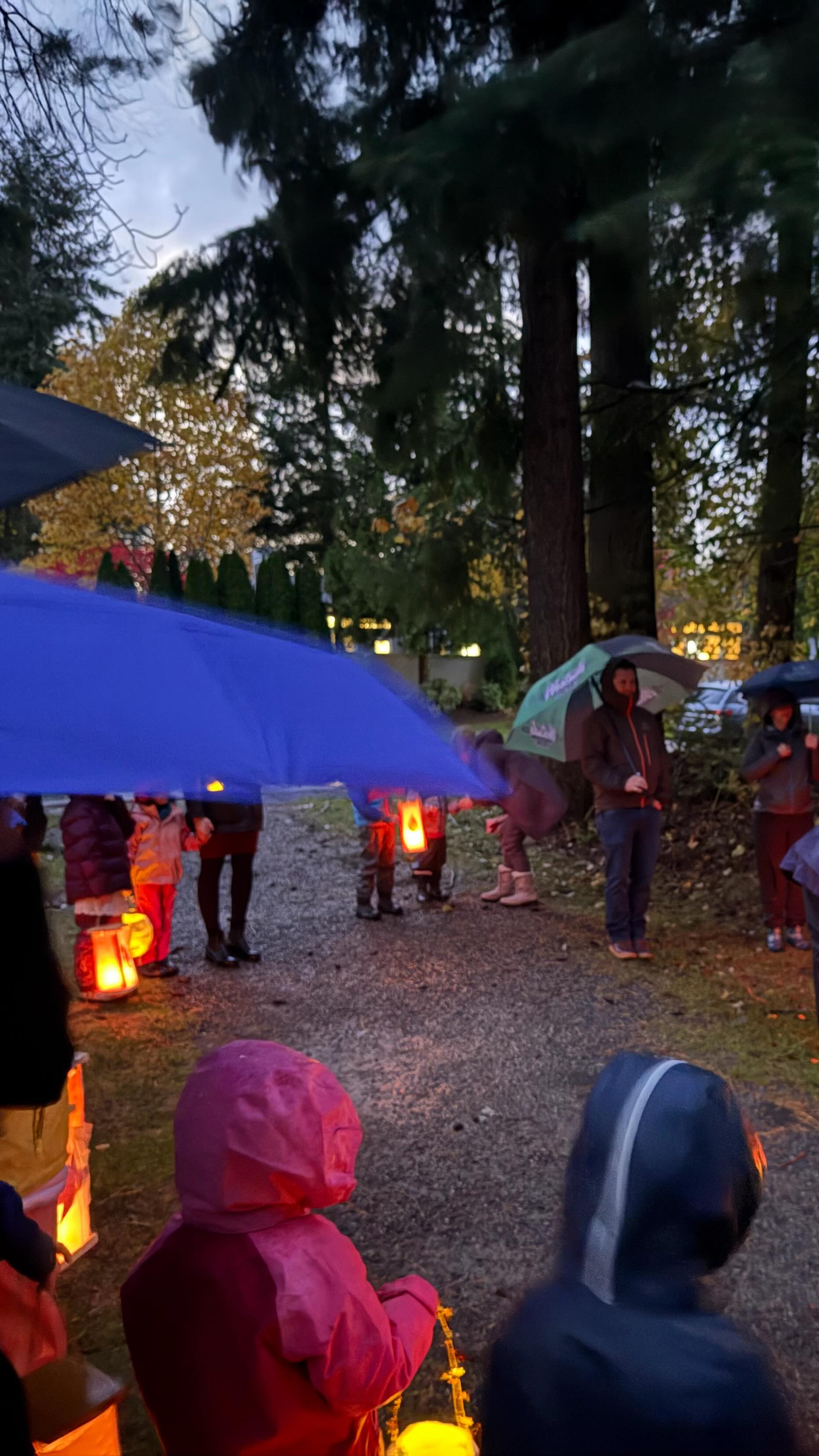 💫Braving the cold and stormy night, our first and second graders carried their homemade lanterns and songs into the darkness, lighting the way with their love and joy. 💫
Photo credit: Shiva S., Ella W.
#ECS #eastsidecommunityschool #waldorf #issaquah #pnw #alternativeeducation #firstgrade #secondgrade #lightinthedark #lightinthedark#songsandlanterns #lanternwalk