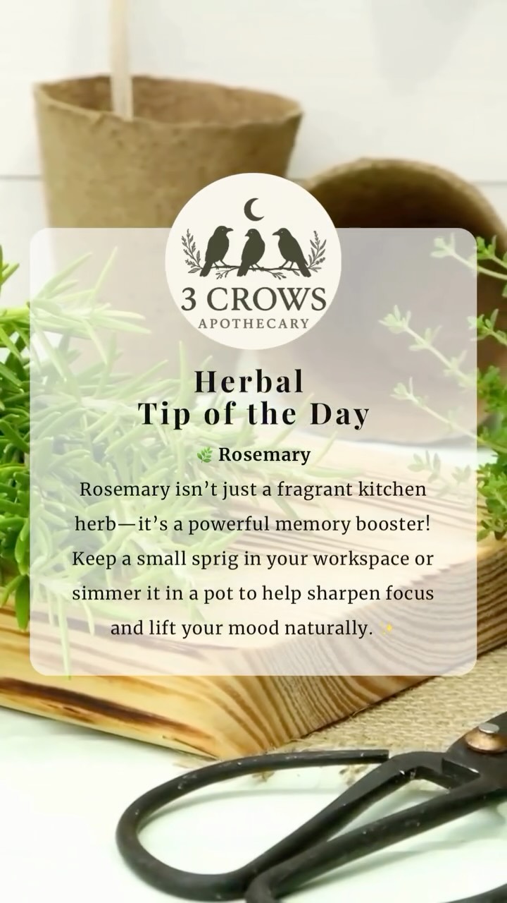 Invite a little herbal magic into your day with rosemary. 🌱 Whether it’s in your cooking, a tea, or just sitting nearby, this fragrant herb helps clear your mind, awaken your senses, and remind you that nature always has a little wisdom to share.
#threecrowsmagic #herbaltipoftheday #rosemarywisdom #natureheals #herbalalchemy #mindfulliving #botanicalmagic
