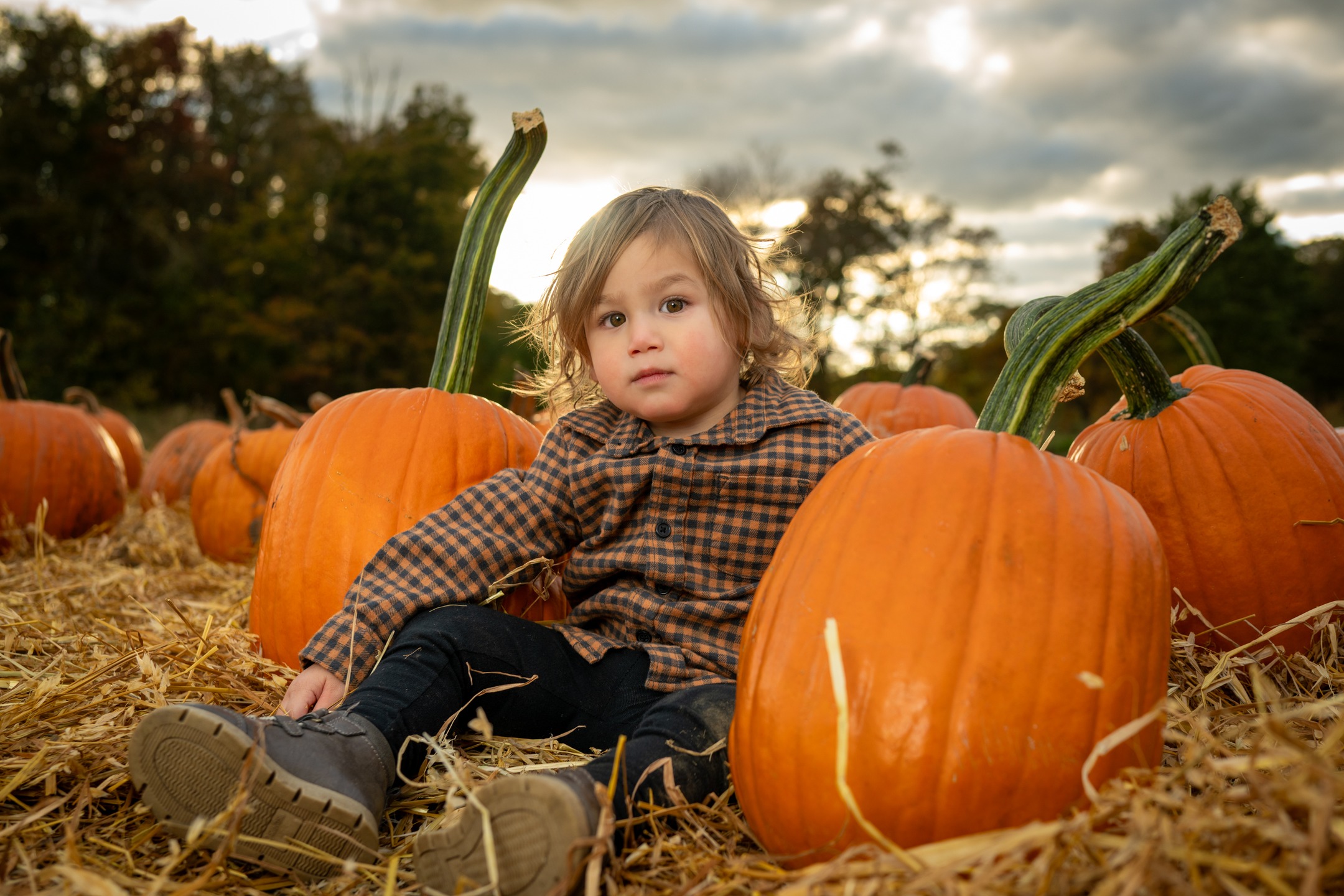 I know Halloween is over, but it's still fall. So there's still time to post these! #kidsphotography #petphotography #photographer #connecticut #westchester @farmsherwood