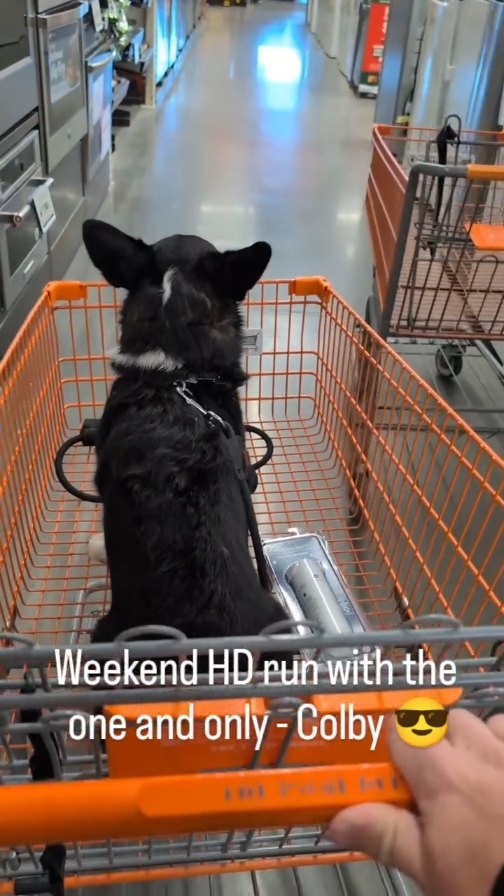 Weekend HD run with the one and only, Colby 😎
•
•
•
•
#alpinehomerepairs #corgi #homeimprovement #newspacestoperfectplaces #colorado #homedepot