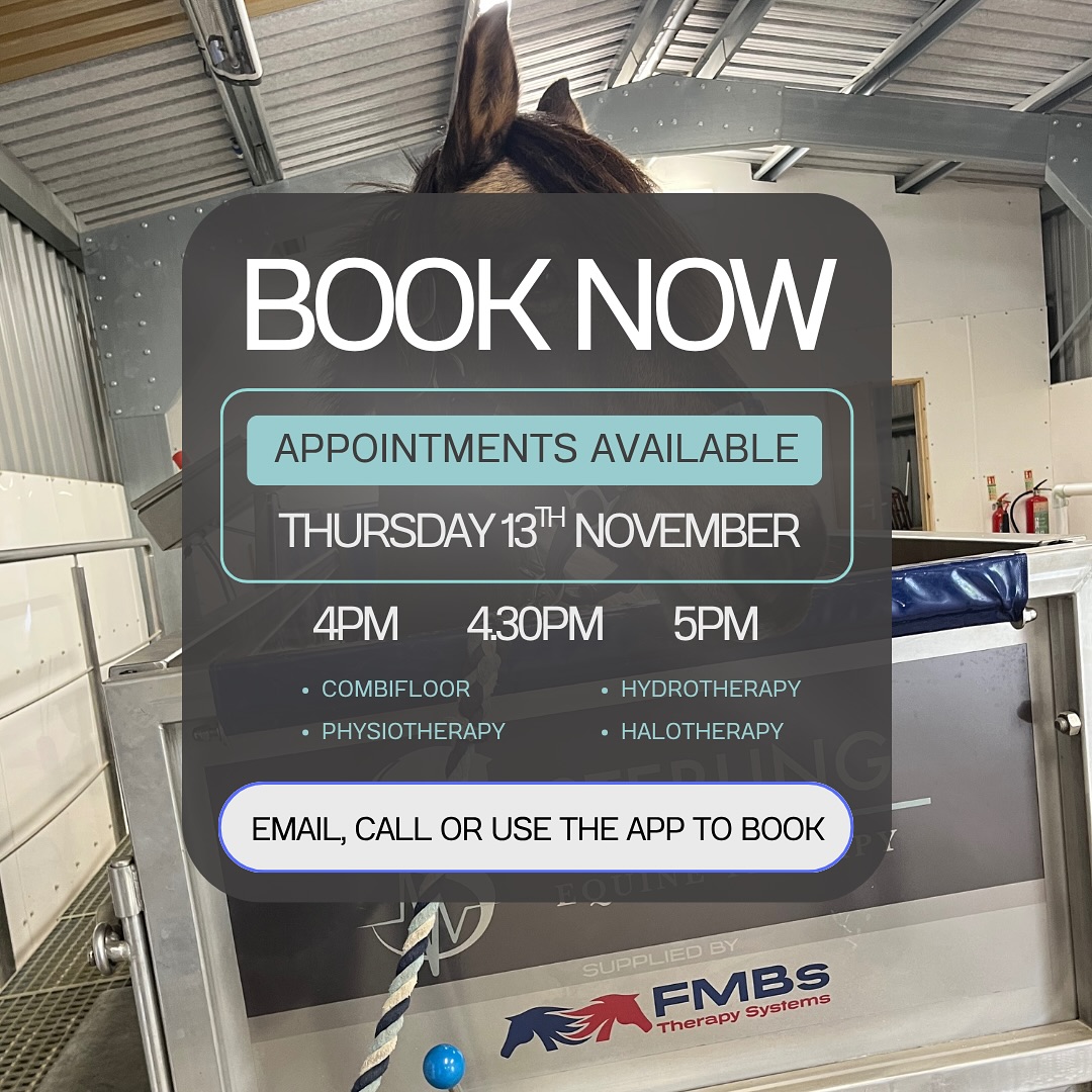 ‼️ Last-minute appointments available this week! ‼️
Don’t miss your chance to book one of these rare evening slots 👇
Thursday 13th November
• 4:00pm
• 4:30pm
• 5:00pm (very limited!)
These times don’t come up often — especially the 5pm slot — so grab yours while you can! 💨
📞07539254181
💻 https://www.sterlingequine.co.uk